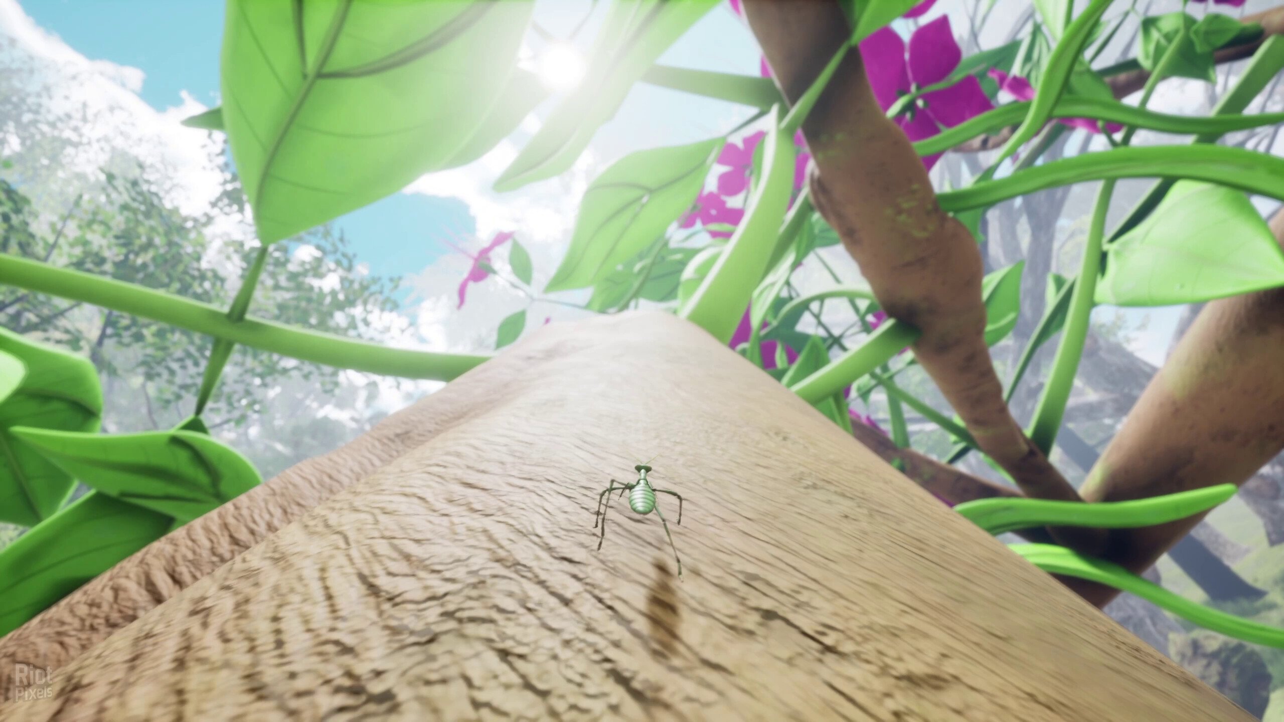 [5]-Nature & Life: Drunk On Nectar, v1.0.4.5.1 + Bonus Soundtrack Download