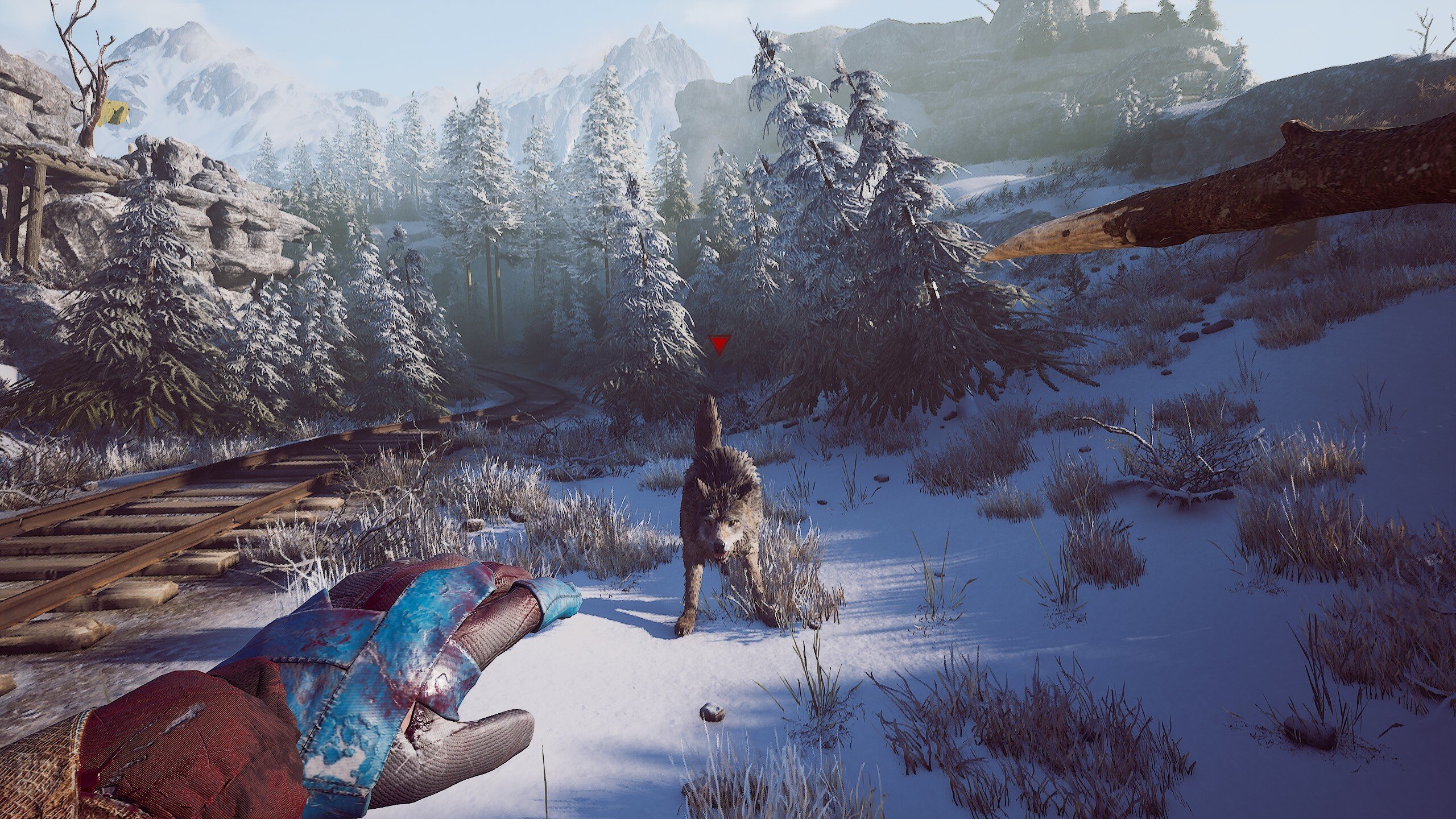 [2]-Winter Survival – v49966 (Release) Download