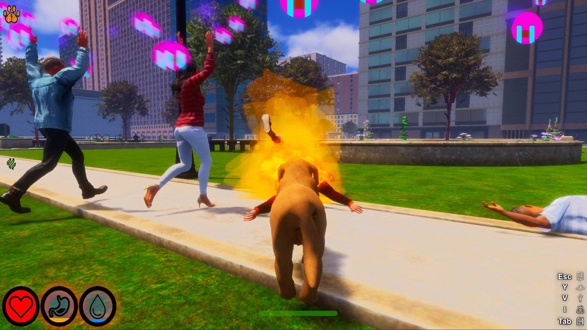 [12]-Lost Paws – v1.0.5 Download