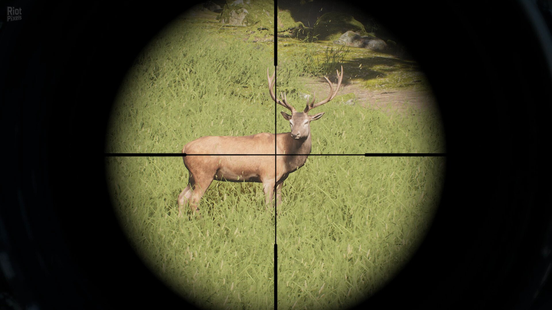 [14]-Project Hunt: Hunter’s Collection – Build 21226542 + 3 DLCs Download