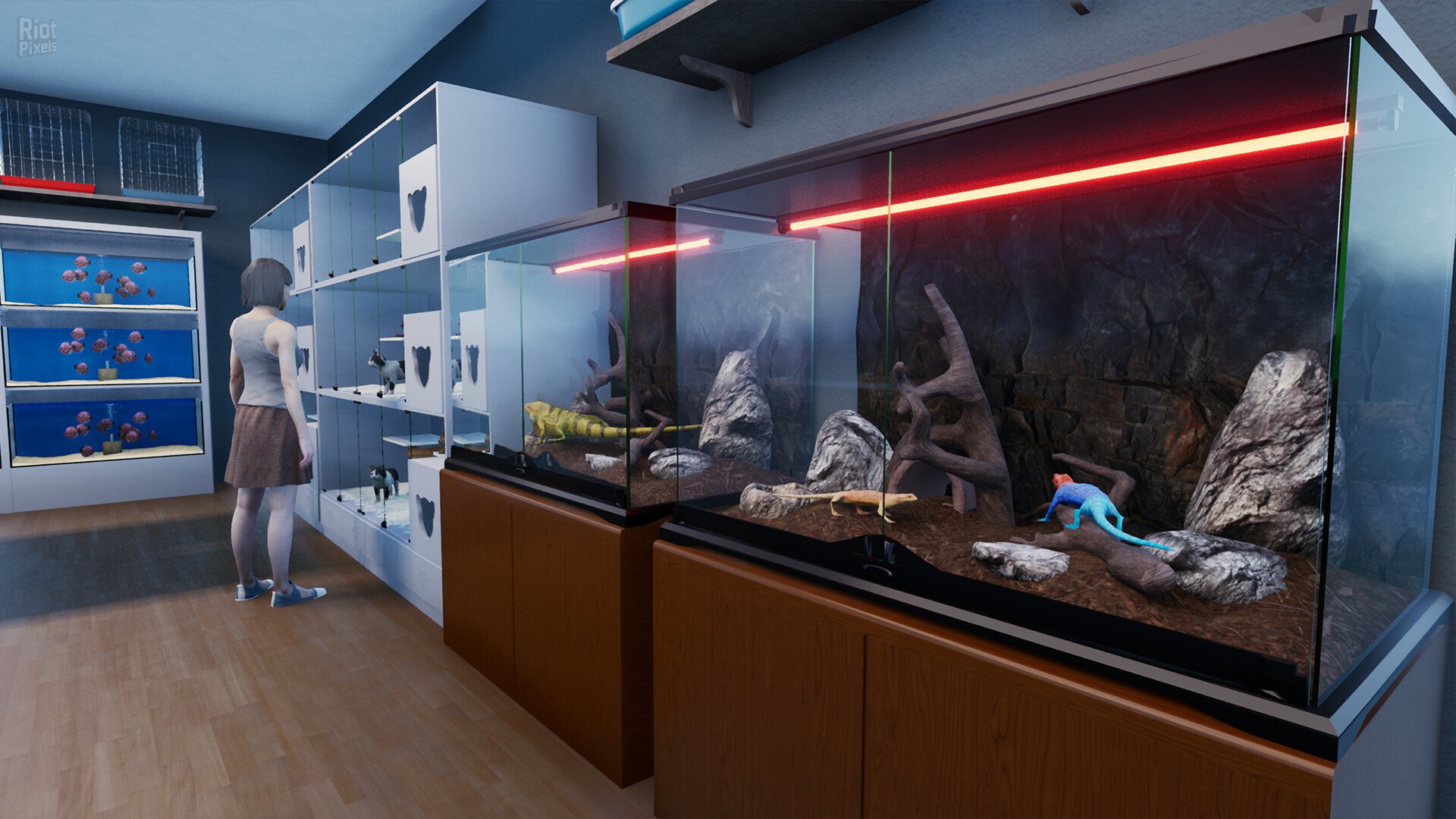 [11]-Exotica 2: Pet Shop Simulator – v1.0.9 Download