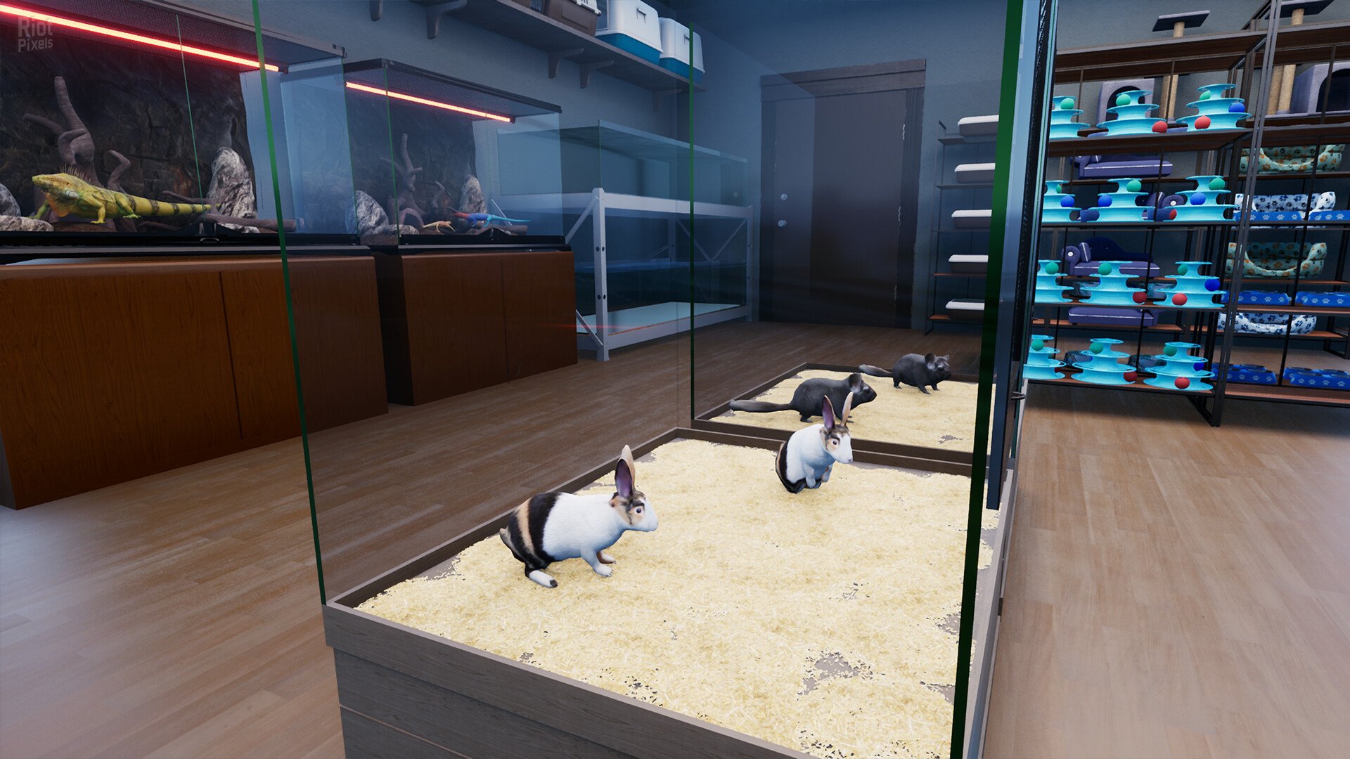 [7]-Exotica 2: Pet Shop Simulator – v1.0.9 Download