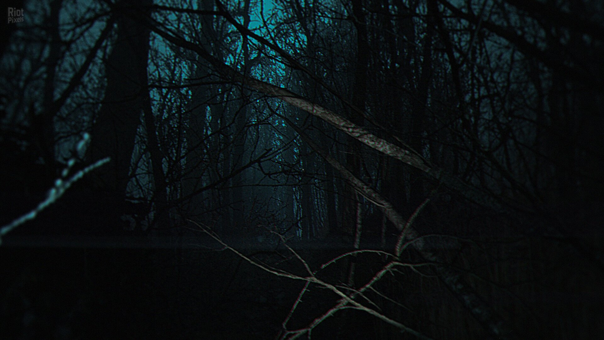 [13]-The Strange Lights Download