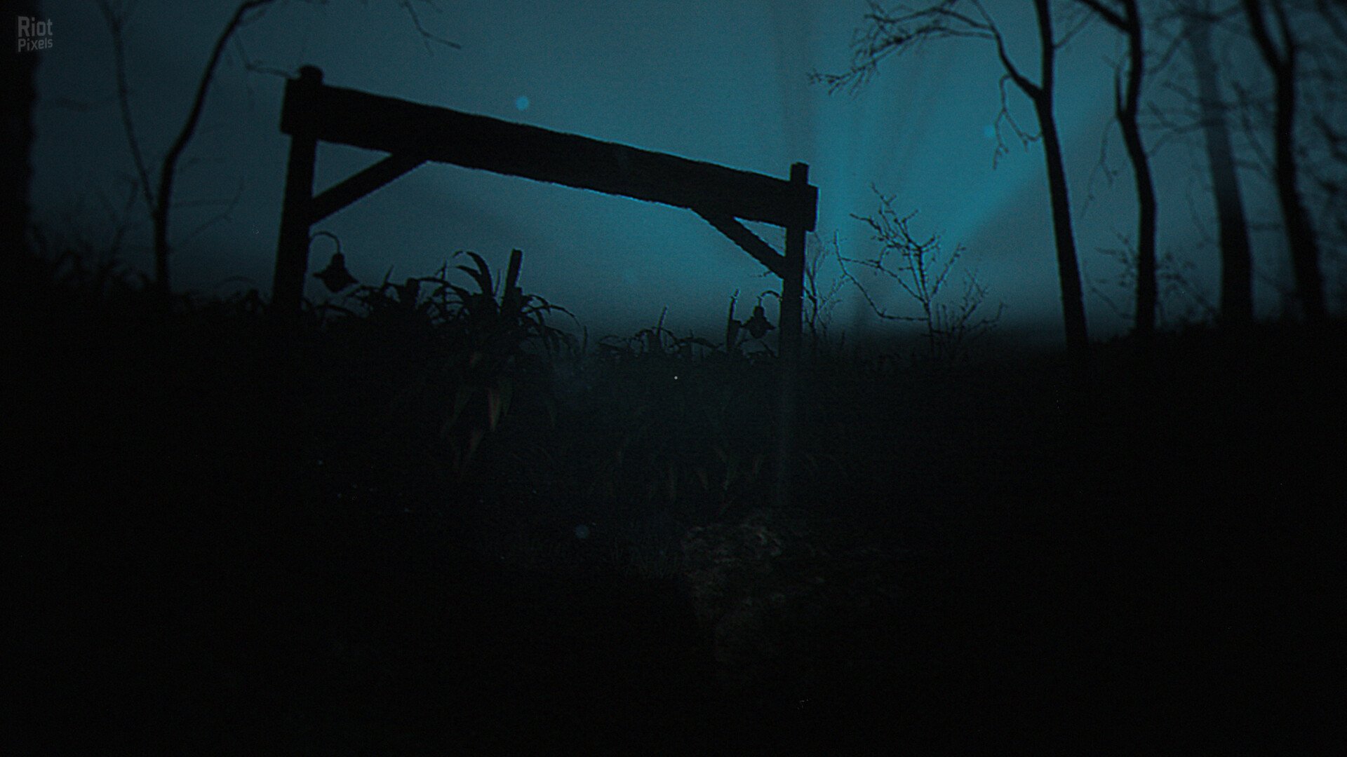 [6]-The Strange Lights Download