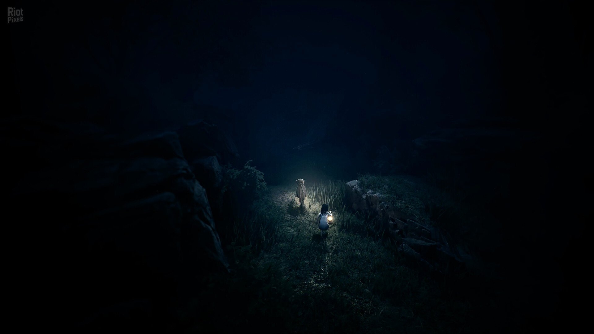 [11]-REANIMAL – v354342/5 + DLC Download