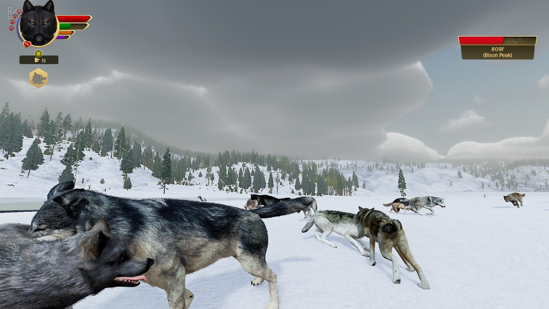 [10]-WolfQuest: Anniversary Edition – v3.0 + 6 DLCs/Bonuses Download