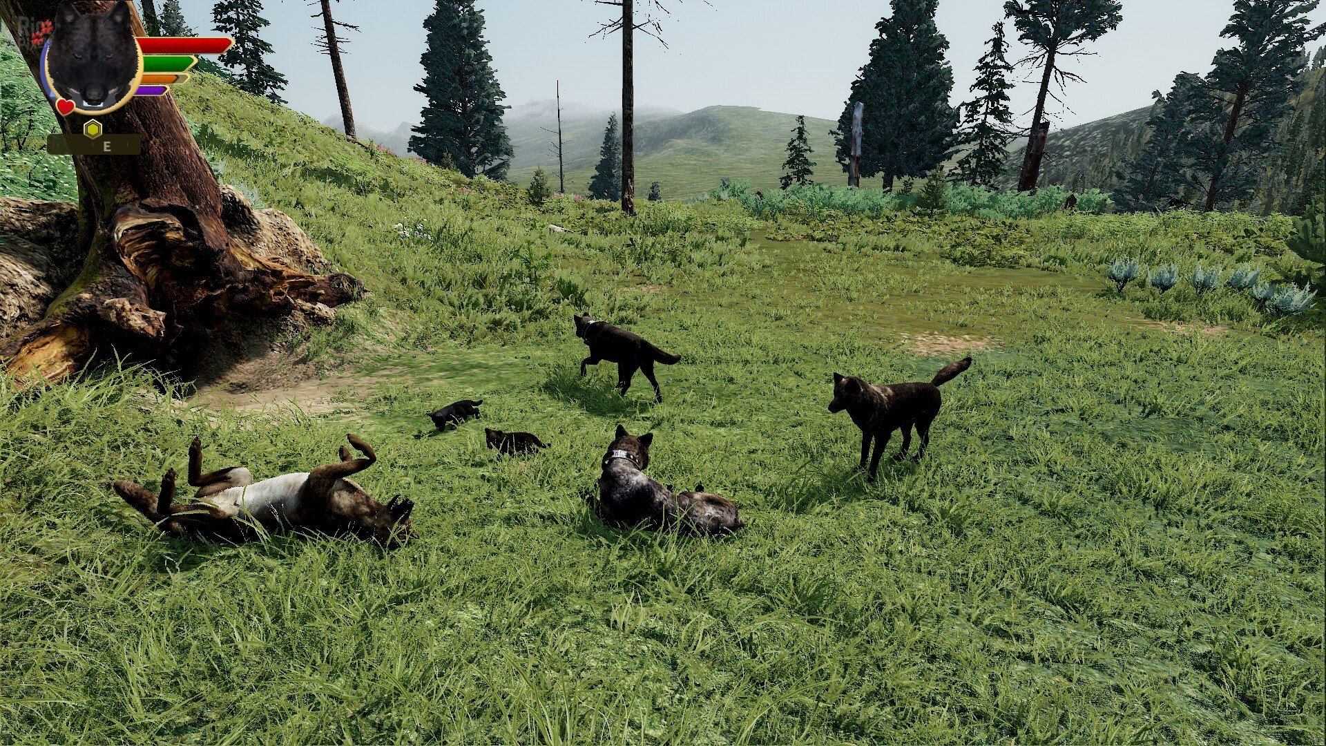 [3]-WolfQuest: Anniversary Edition – v3.0 + 6 DLCs/Bonuses Download