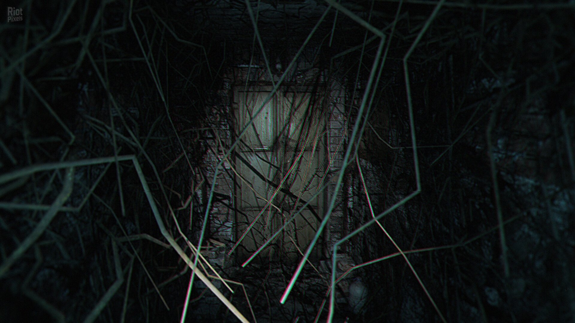 [5]-The Strange Lights Download