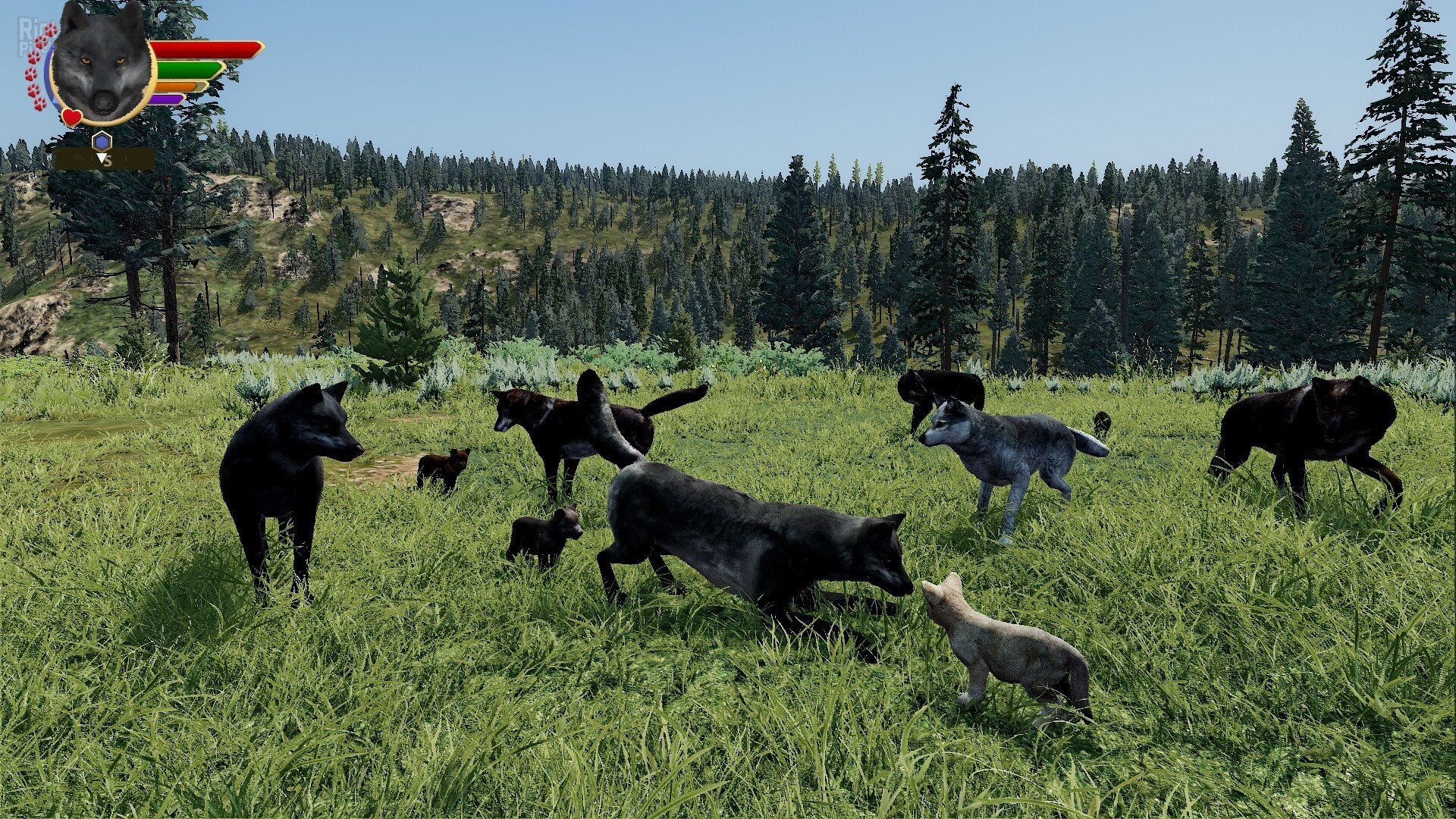 [4]-WolfQuest: Anniversary Edition – v3.0 + 6 DLCs/Bonuses Download