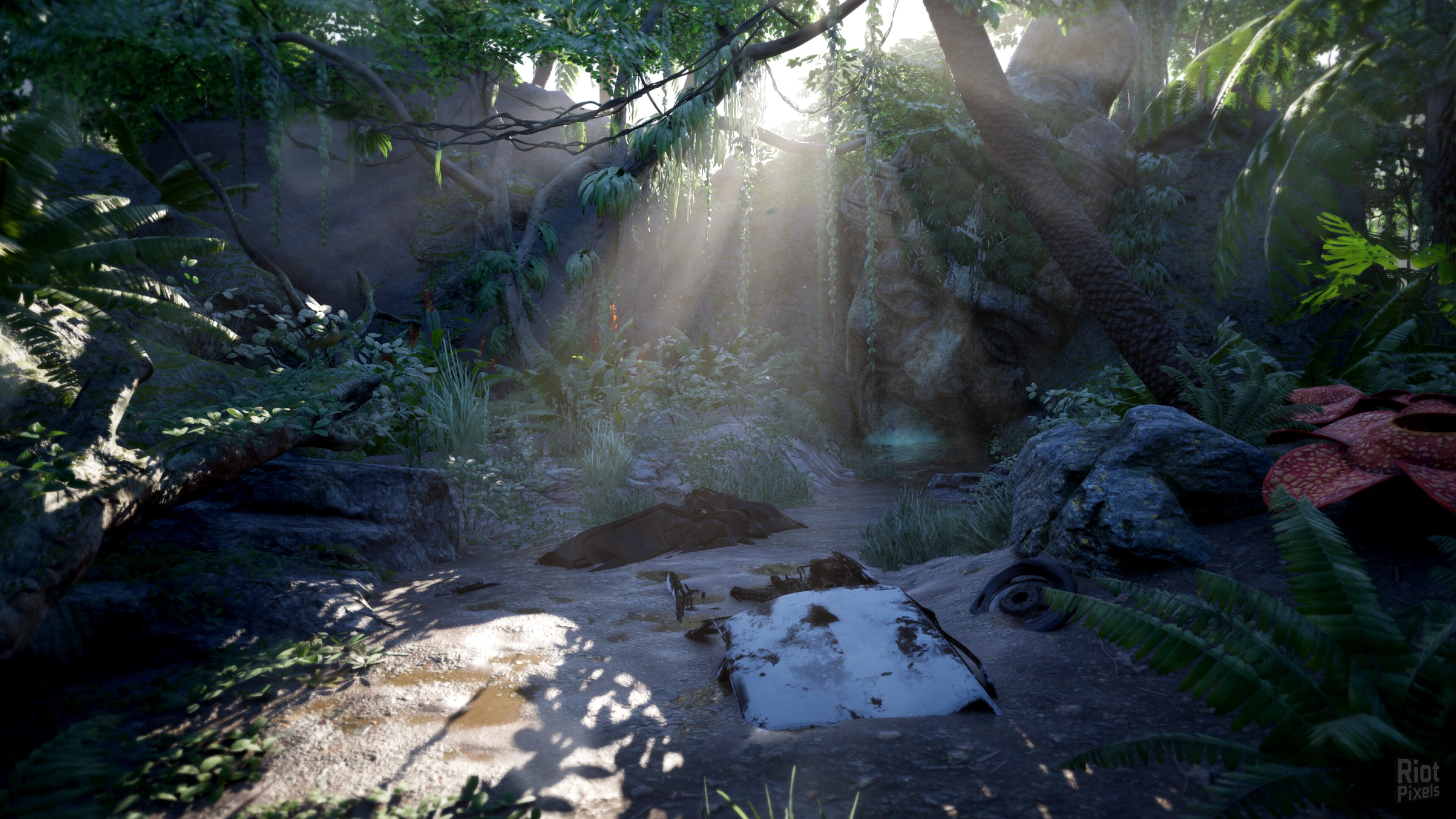 [5]-MITNAL Download