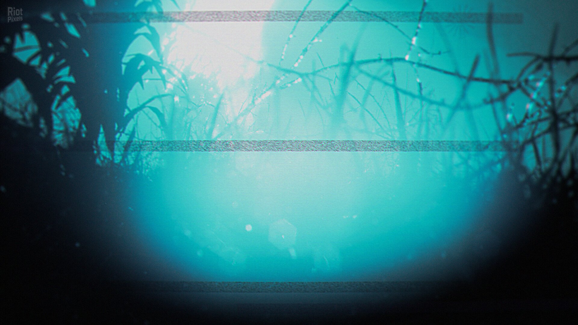 [7]-The Strange Lights Download