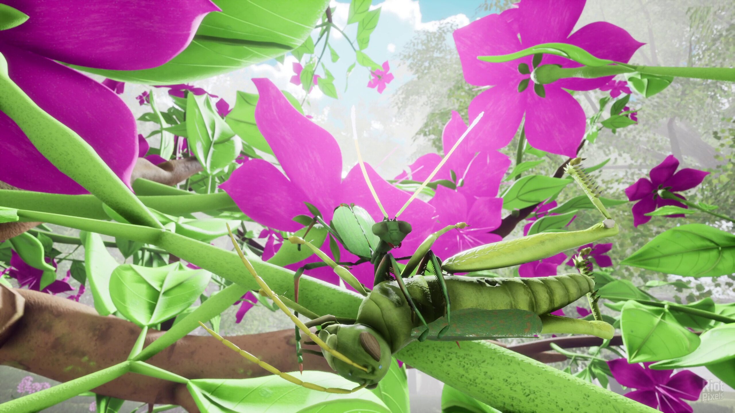 [9]-Nature & Life: Drunk On Nectar – Complete Bundle, v1.0.6 + 2 DLCs/Bonuses Download