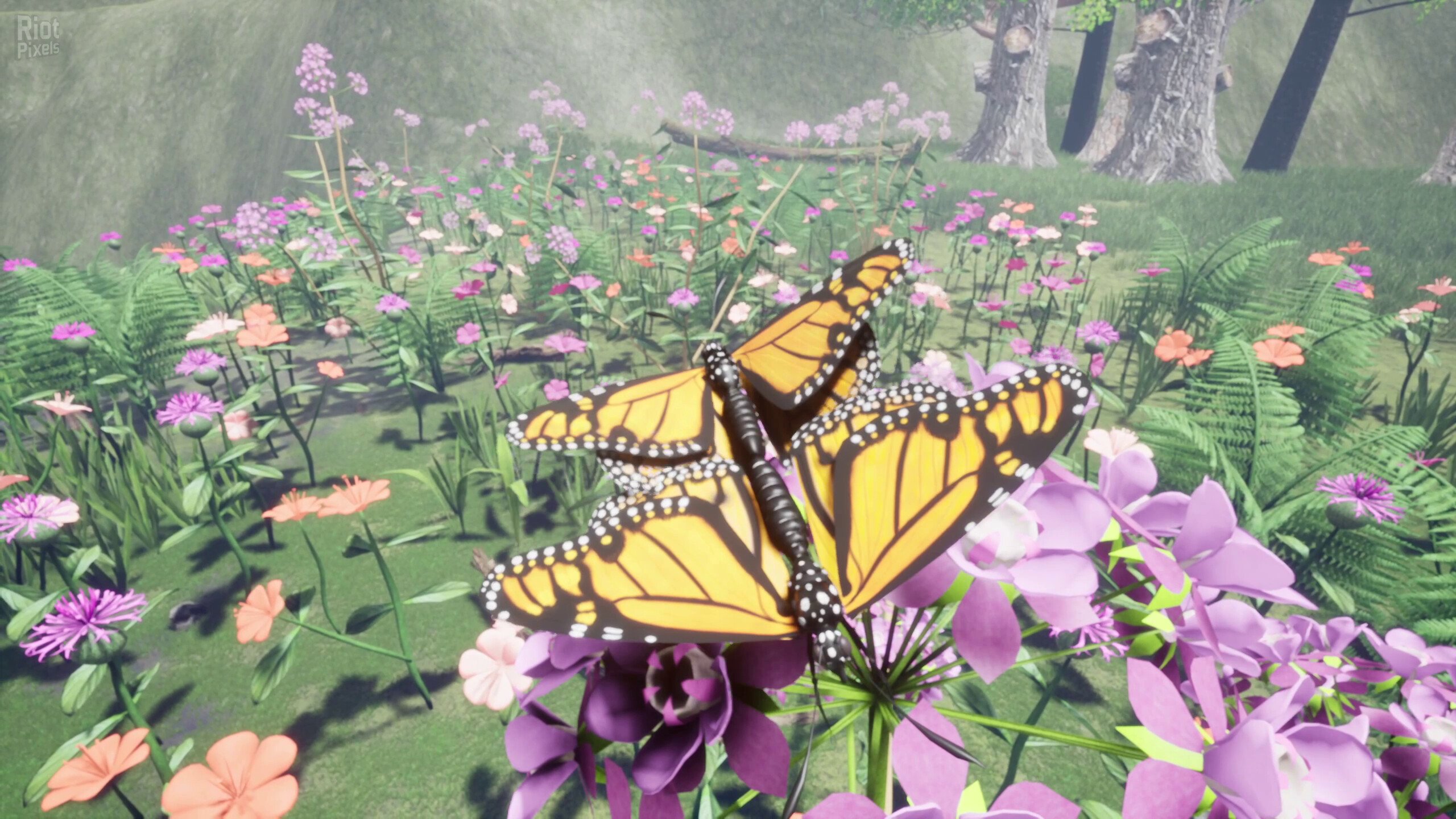 [2]-Nature & Life: Drunk On Nectar – Complete Bundle, v1.0.6 + 2 DLCs/Bonuses Download