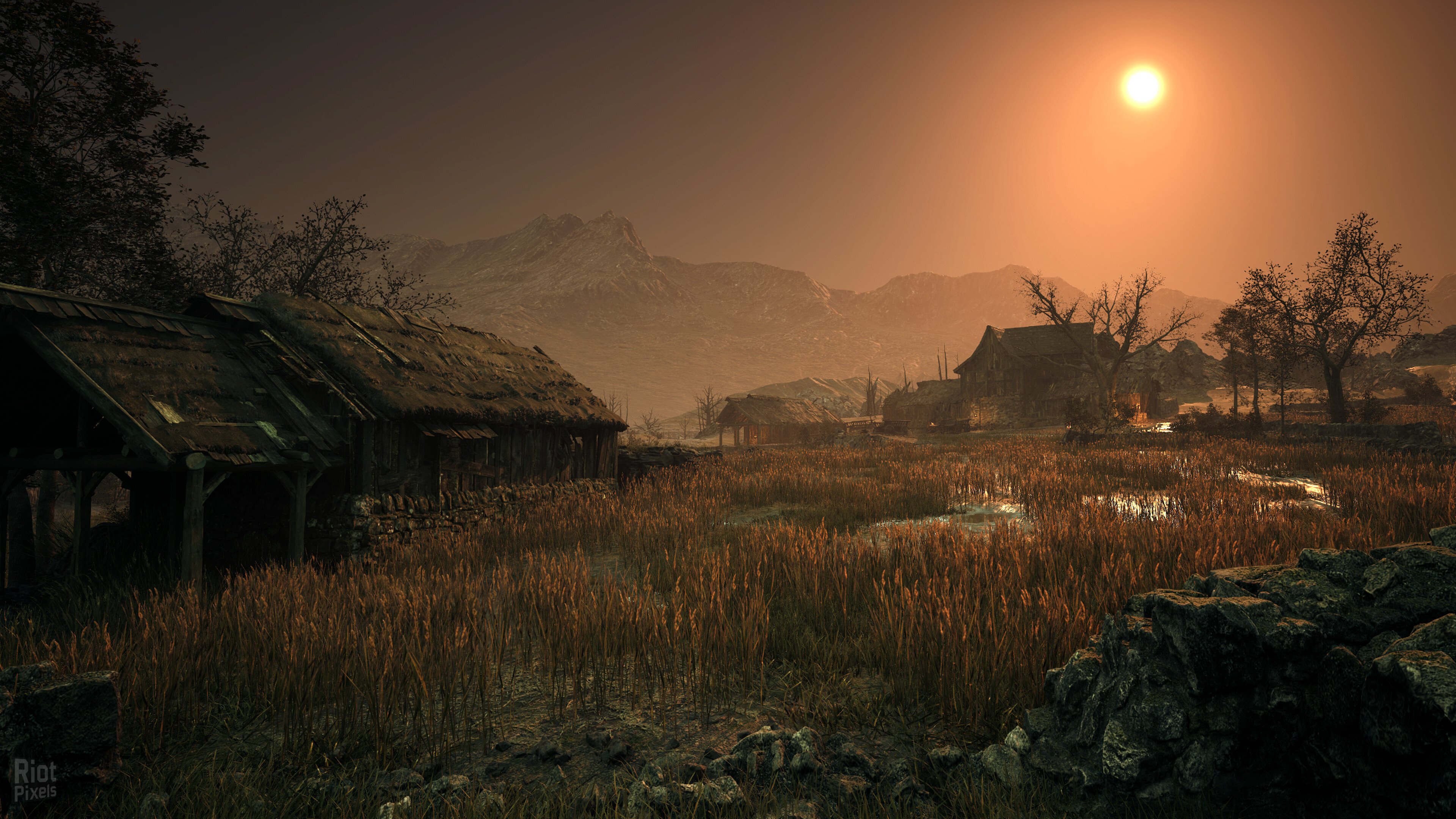 [5]-Dragonkin: The Banished – Blood Scales Edition, v1.2.64.53721 + 5 DLCs Download