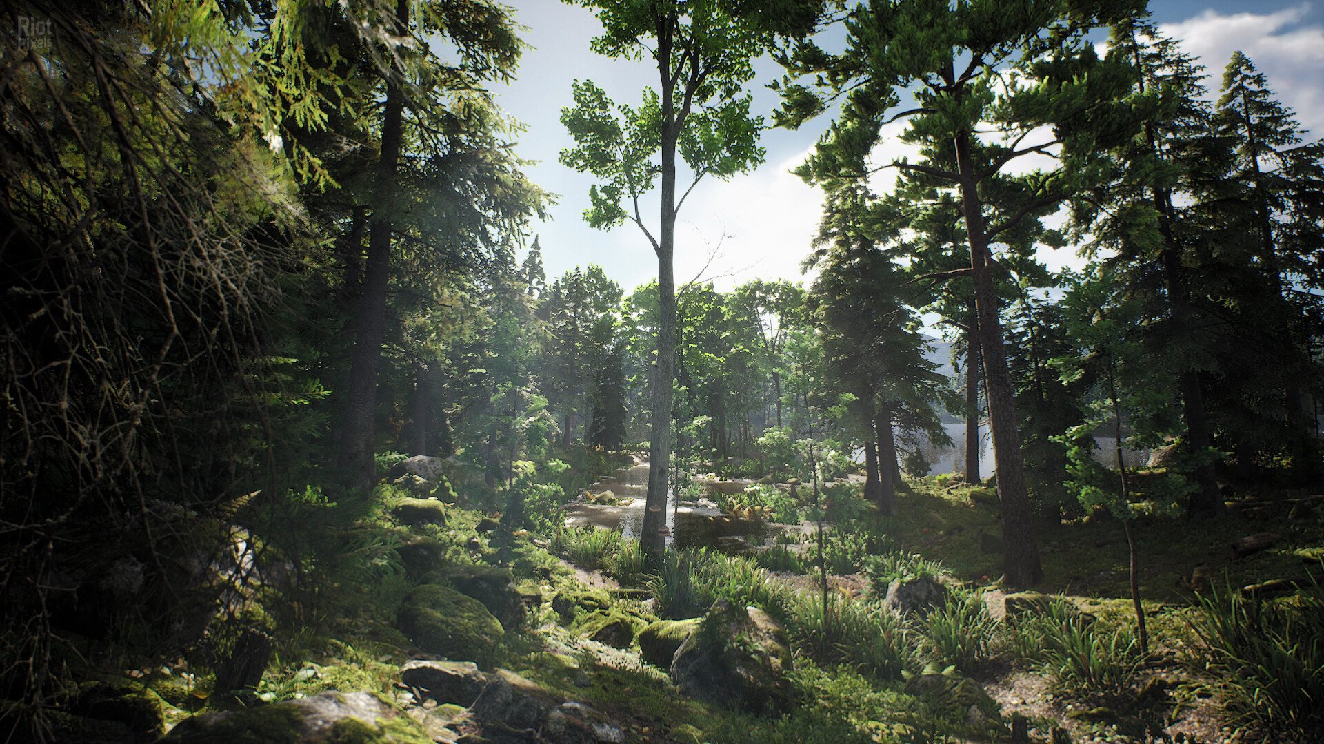 [10]-Project Hunt: Hunter’s Collection – Build 22403299 + 4 DLCs Download