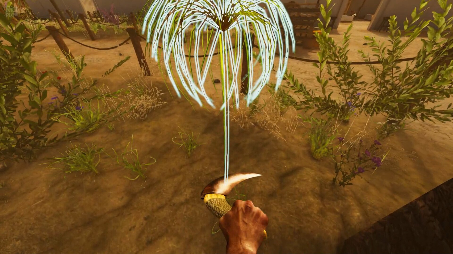 [14]-Egypt Frontiers Download