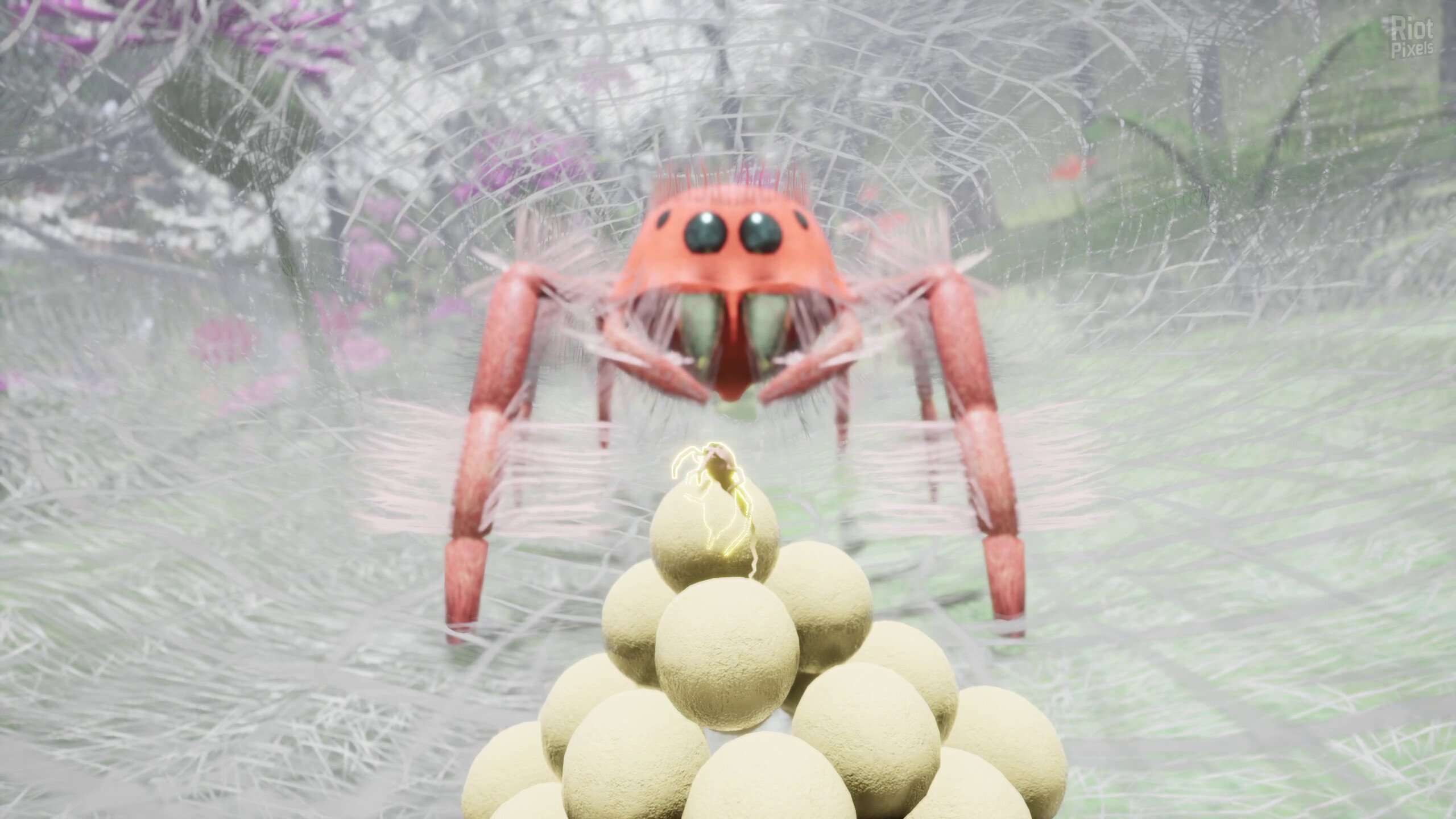 [6]-Nature & Life: Drunk On Nectar – Complete Bundle, v1.0.6 + 2 DLCs/Bonuses Download