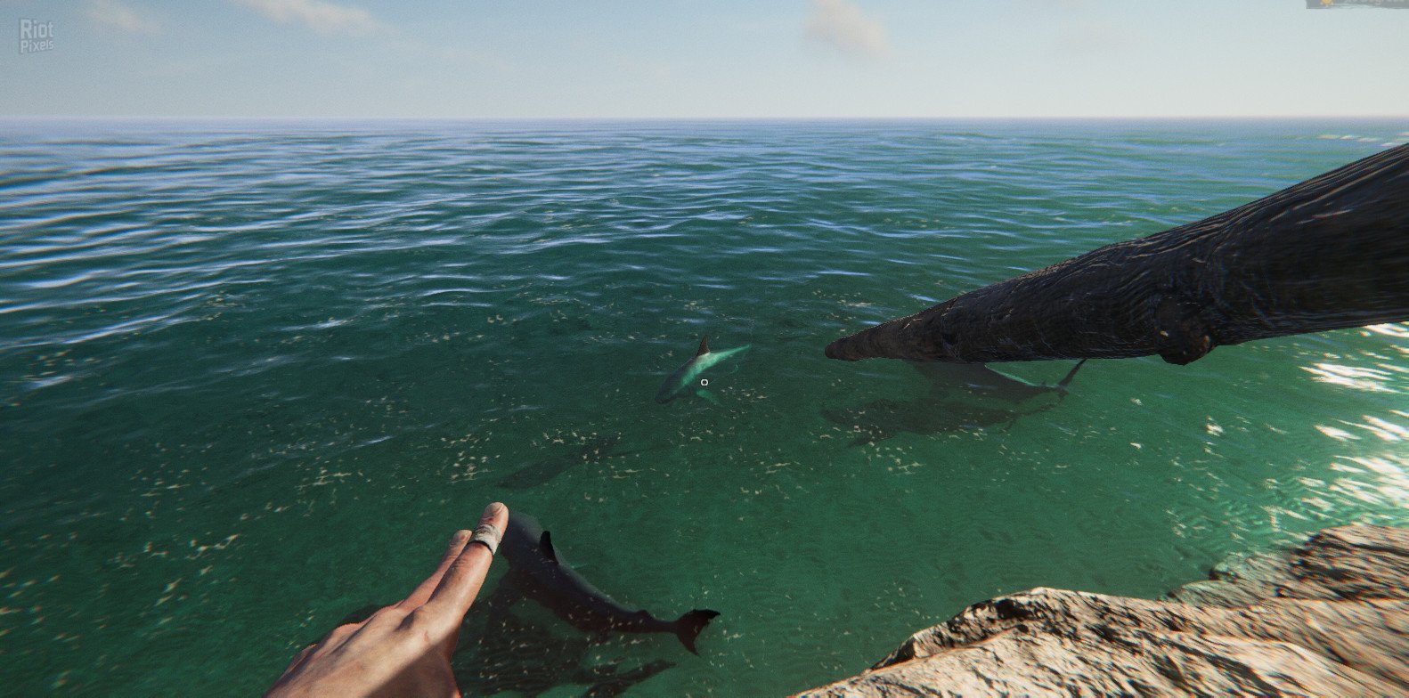 [16]-Project Castaway – v1.0.1 Download