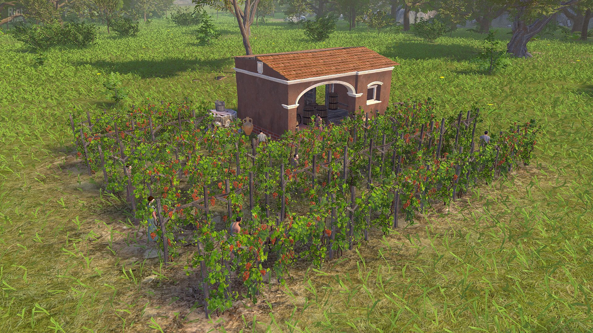[2]-Pompeii: The Legacy – v1.000.6 Download