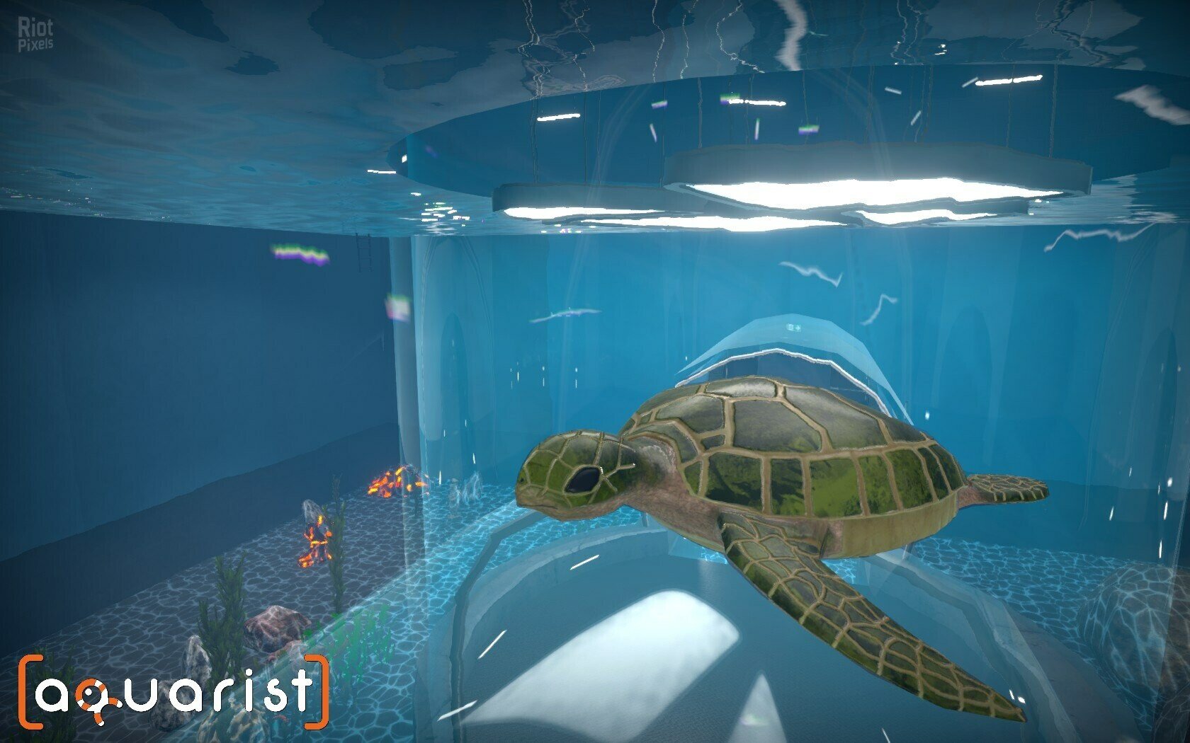 [8]-Aquarist: Full Experience Bundle – Build 22498847 + 6 DLCs Download