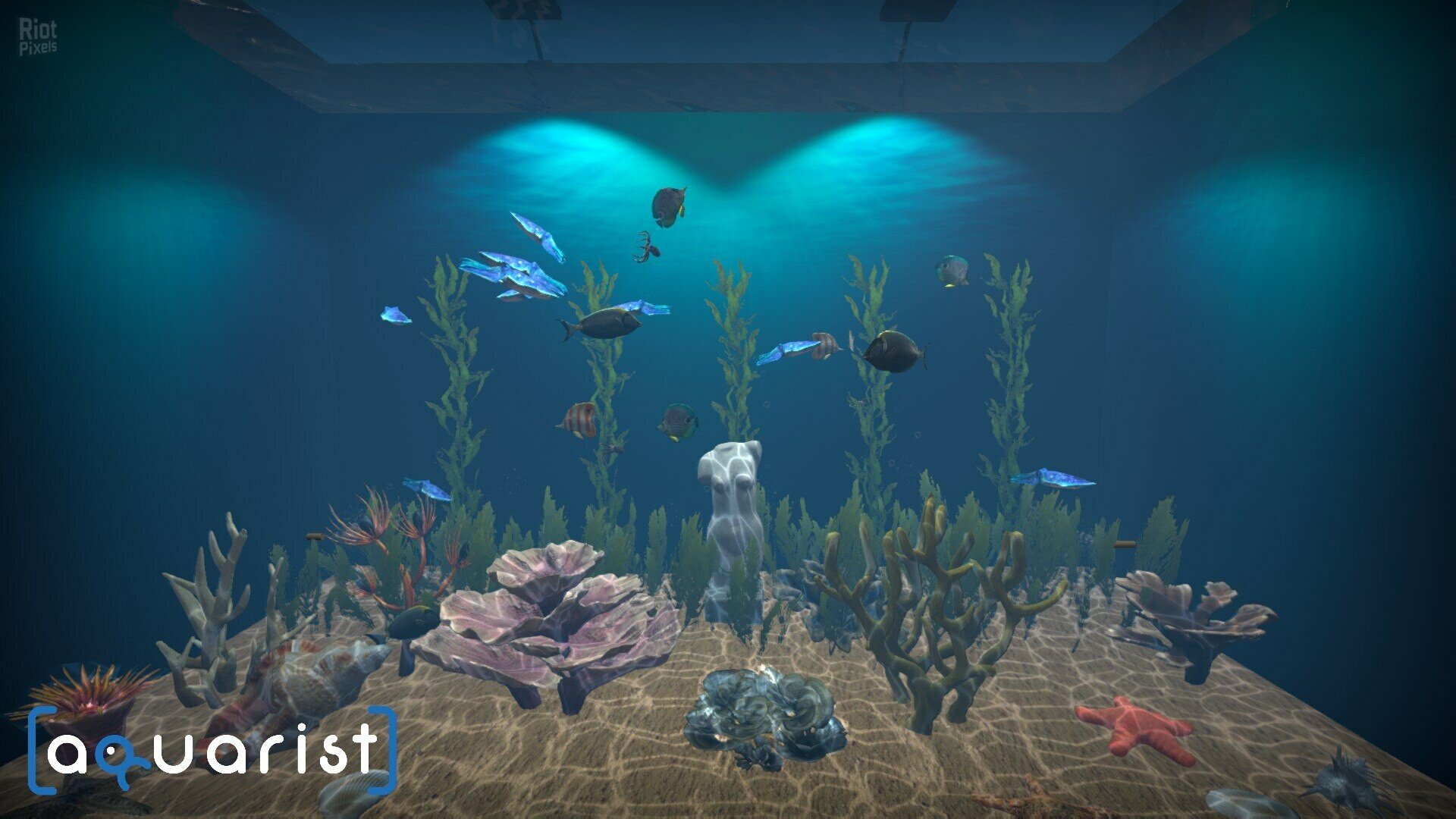 [4]-Aquarist: Full Experience Bundle – Build 22498847 + 6 DLCs Download