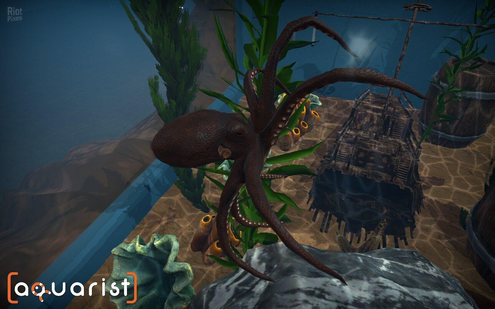 [12]-Aquarist: Full Experience Bundle – Build 22498847 + 6 DLCs Download