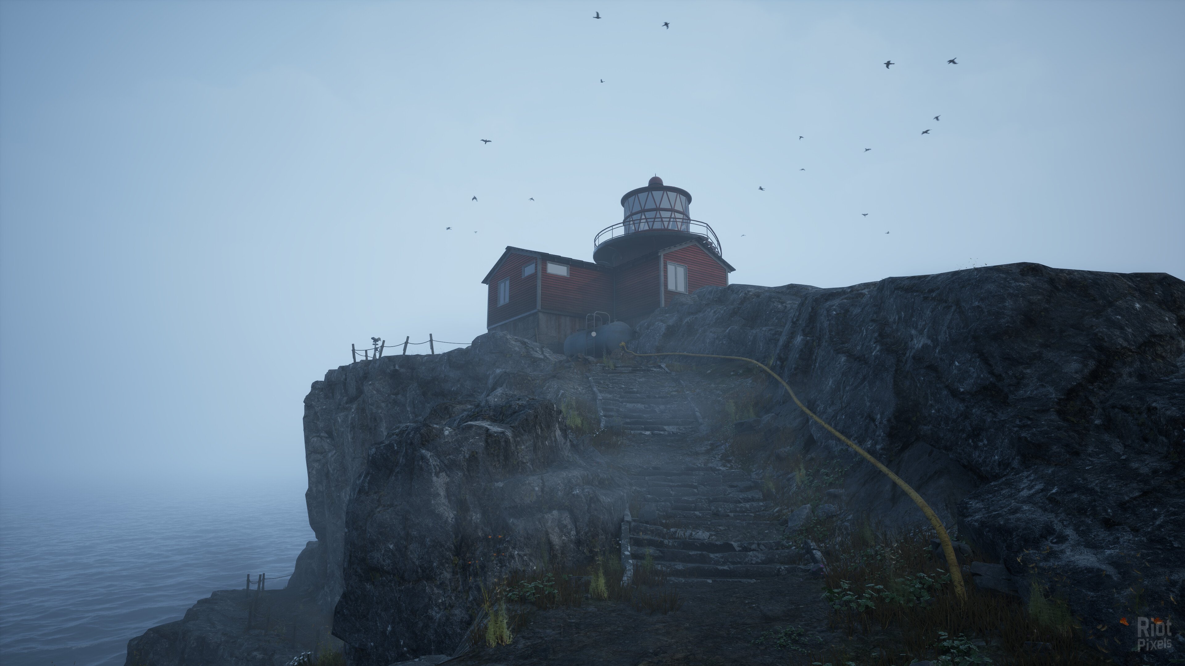 [5]-WILL: Follow The Light Download
