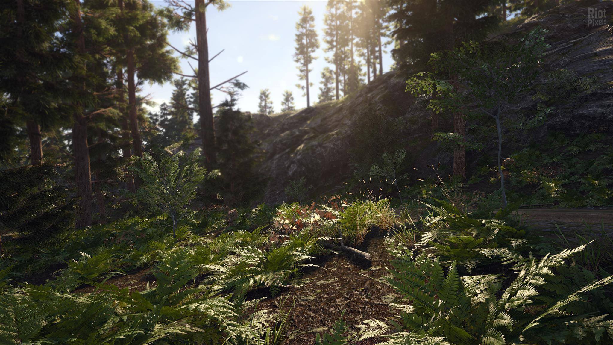 [11]-SCUM: Complete Bundle – v1.3.0.0.117753 + 17 DLCs/Bonuses Download