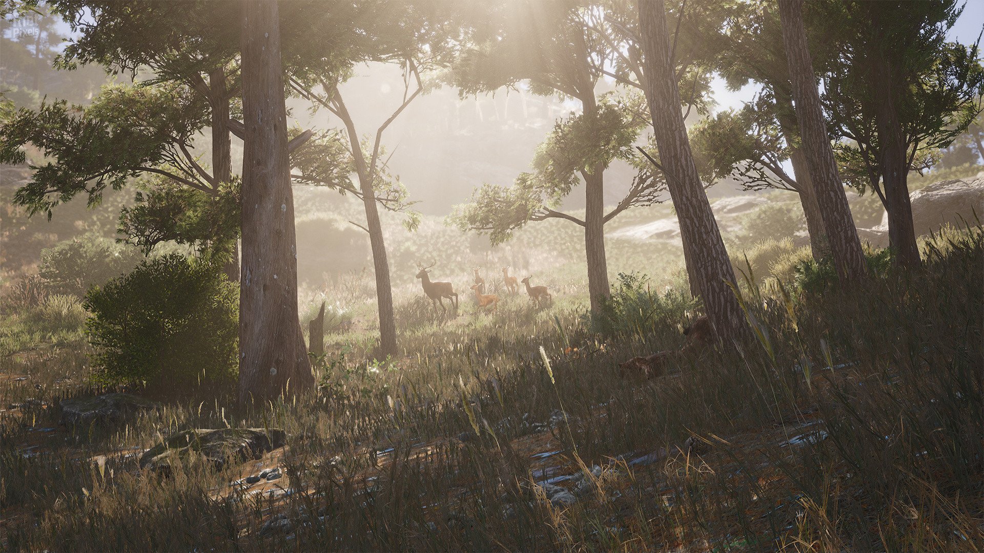 [12]-SCUM: Complete Bundle – v1.3.0.0.117753 + 17 DLCs/Bonuses Download