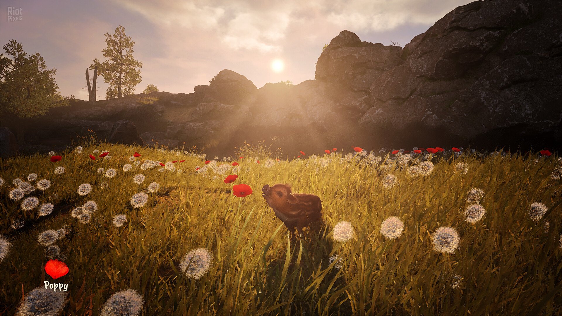 [8]-Adorable Adventures – v1.0.3.8312 Download