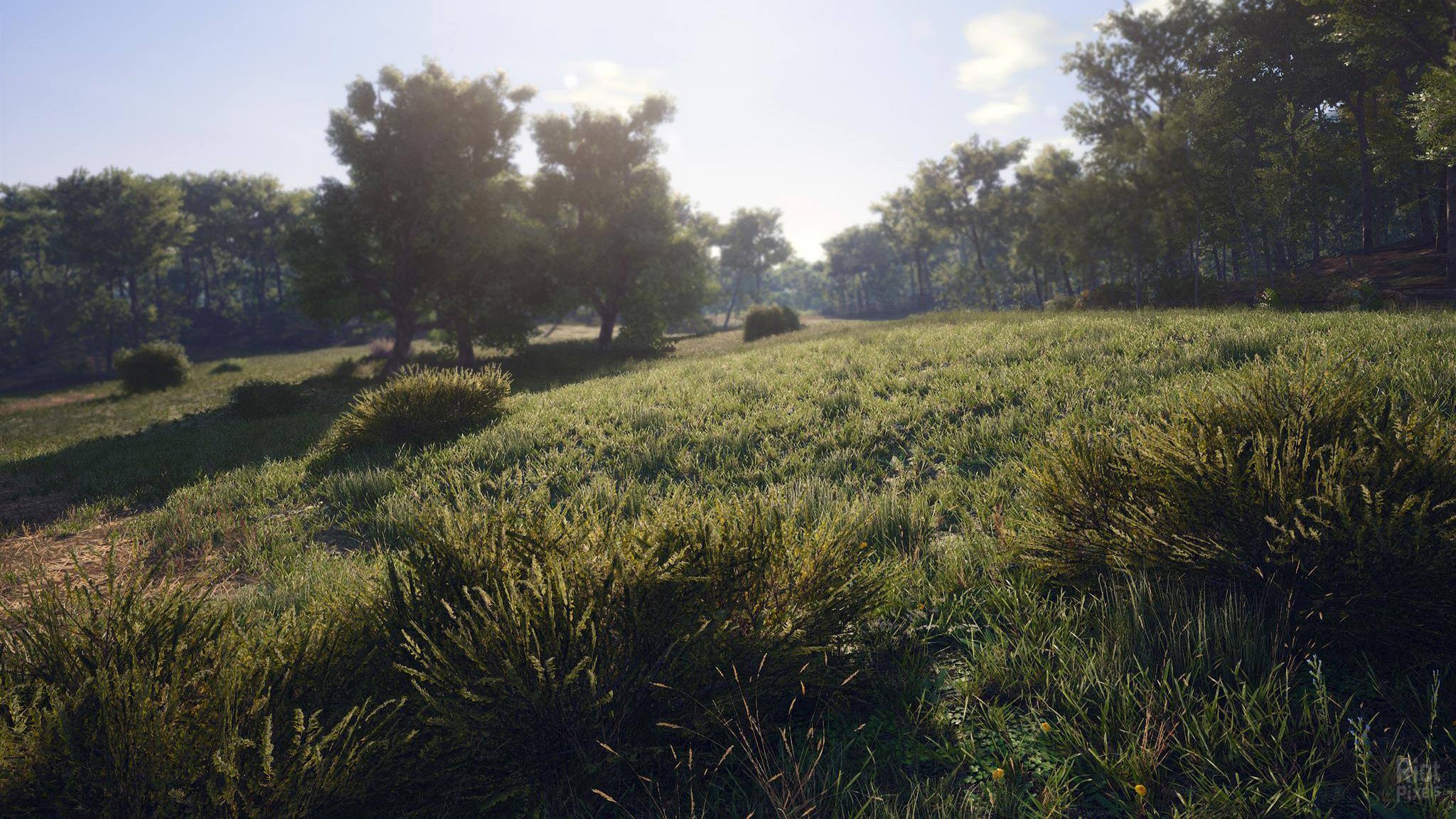 [16]-SCUM: Complete Bundle – v1.3.0.0.117753 + 17 DLCs/Bonuses Download