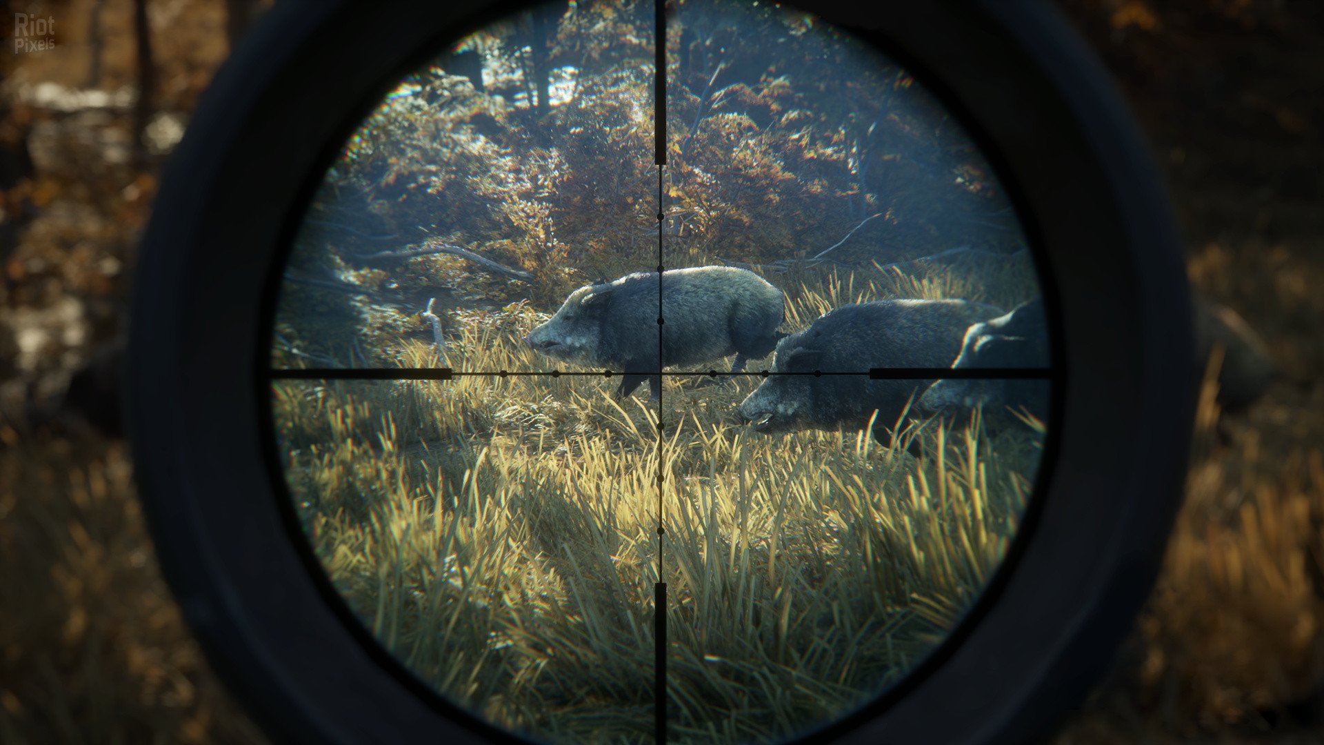 [7]-theHunter: Call of the Wild – Complete Collection – v3263984 (Patch 9.2) + 74 DLCs + Windows 7 Fix Download