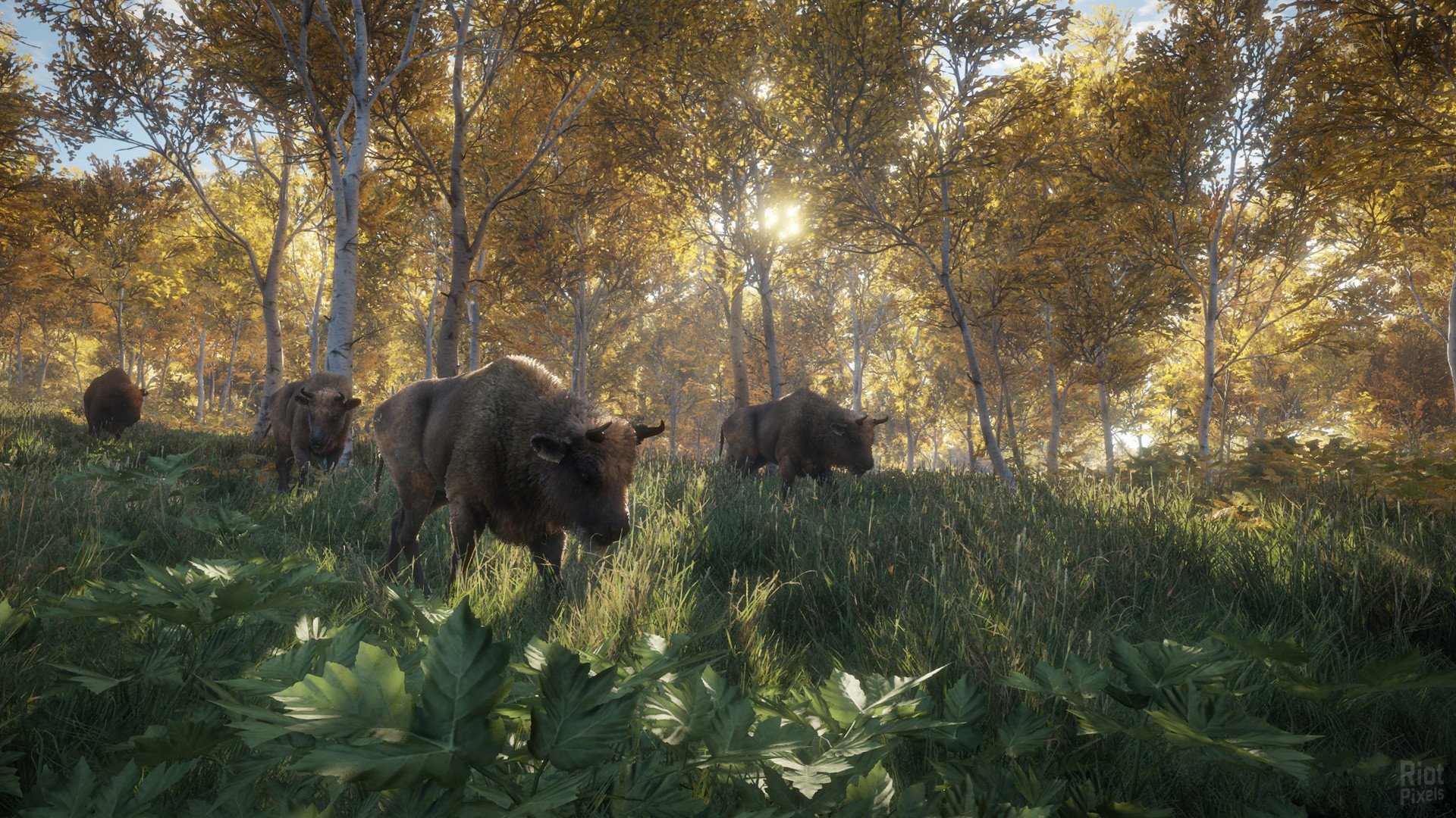 [11]-theHunter: Call of the Wild – Complete Collection – v3263984 (Patch 9.2) + 74 DLCs + Windows 7 Fix Download