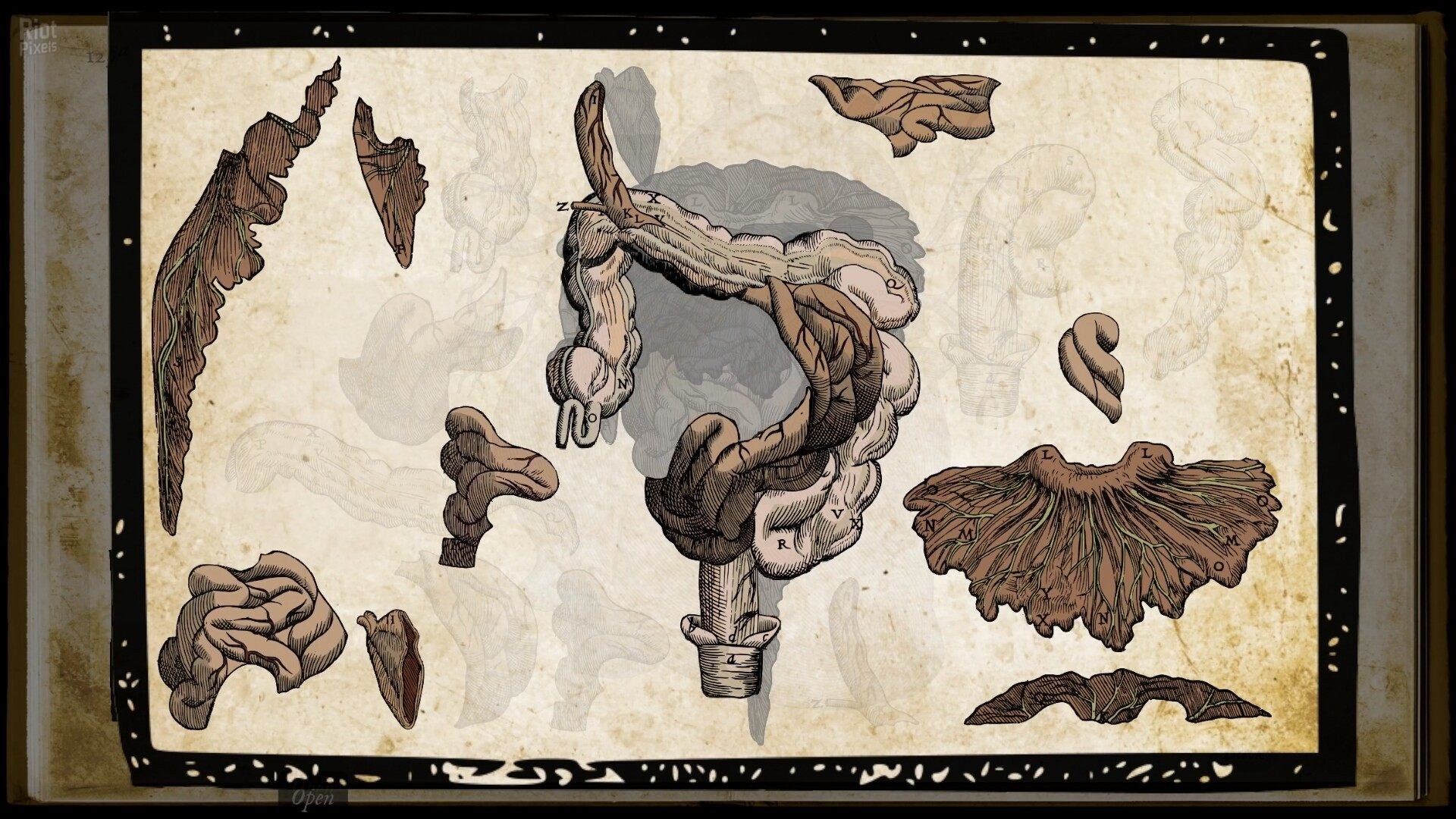 [9]-Wound Man: Supporter Bundle – v1.0 Release + Bonus DLC Download