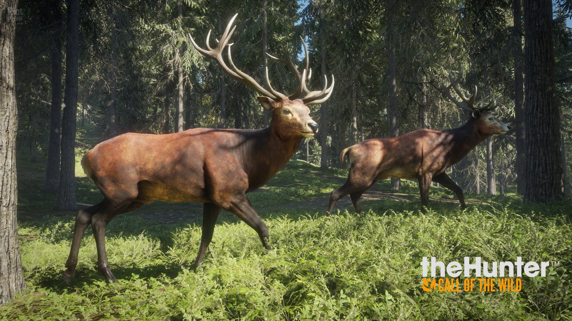 [4]-theHunter: Call of the Wild – Complete Collection – v3263984 (Patch 9.2) + 74 DLCs + Windows 7 Fix Download
