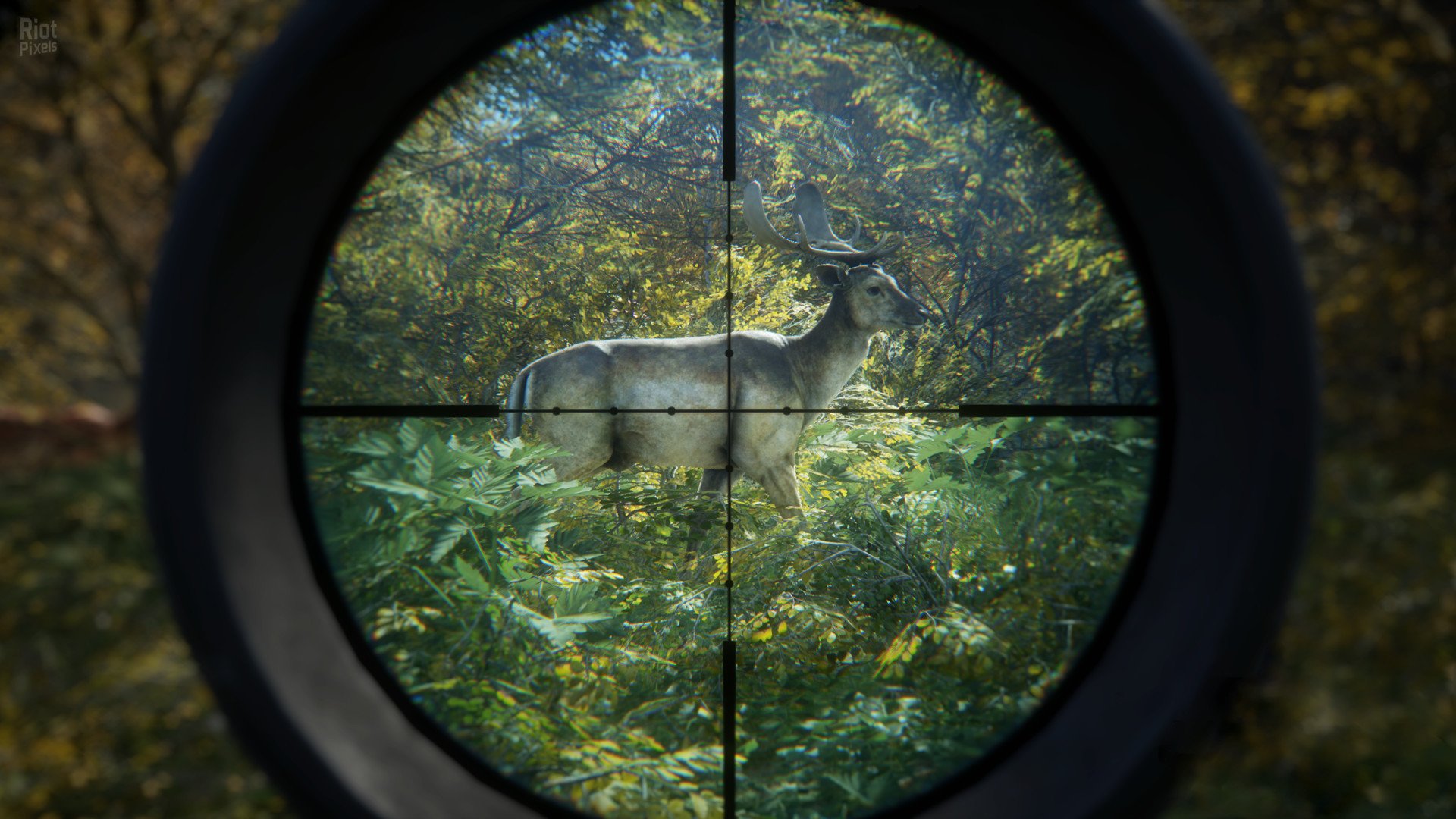 [10]-theHunter: Call of the Wild – Complete Collection – v3263984 (Patch 9.2) + 74 DLCs + Windows 7 Fix Download