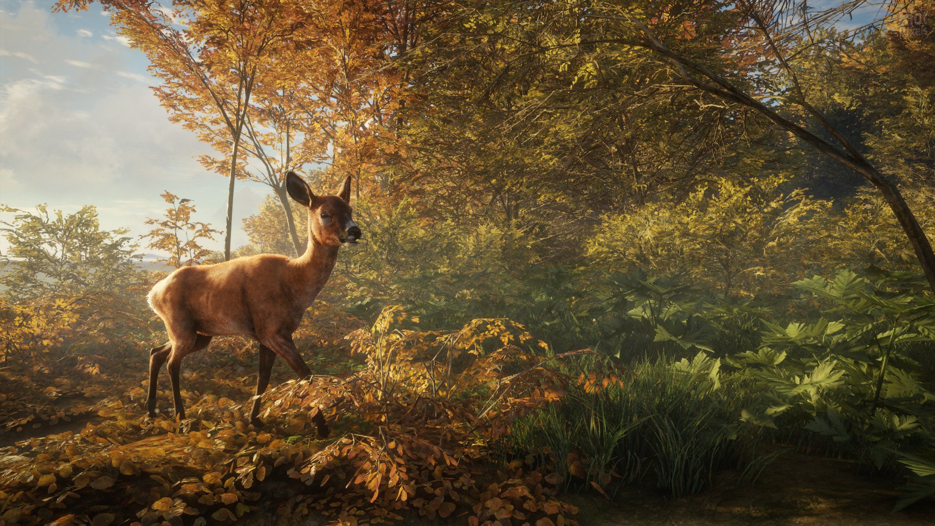 [6]-theHunter: Call of the Wild – Complete Collection – v3263984 (Patch 9.2) + 74 DLCs + Windows 7 Fix Download