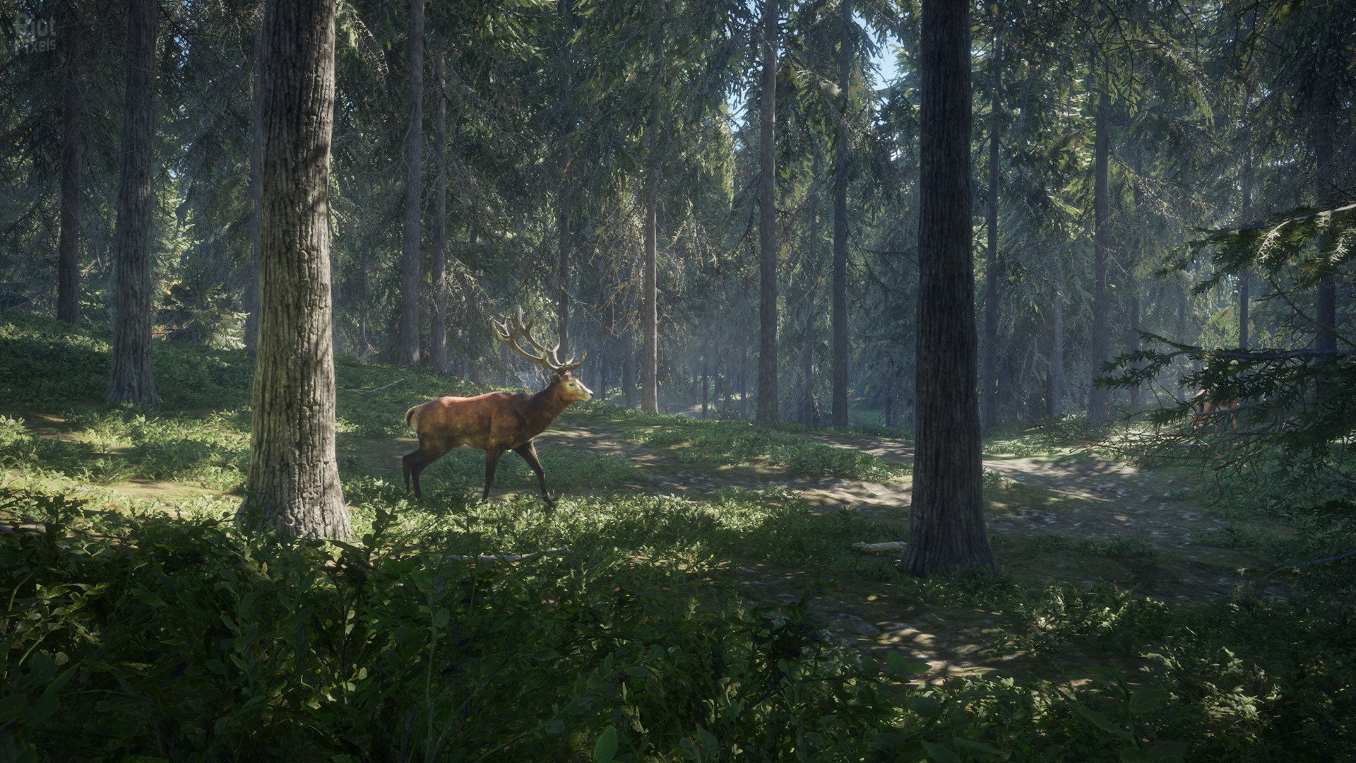 [13]-theHunter: Call of the Wild – Complete Collection – v3263984 (Patch 9.2) + 74 DLCs + Windows 7 Fix Download