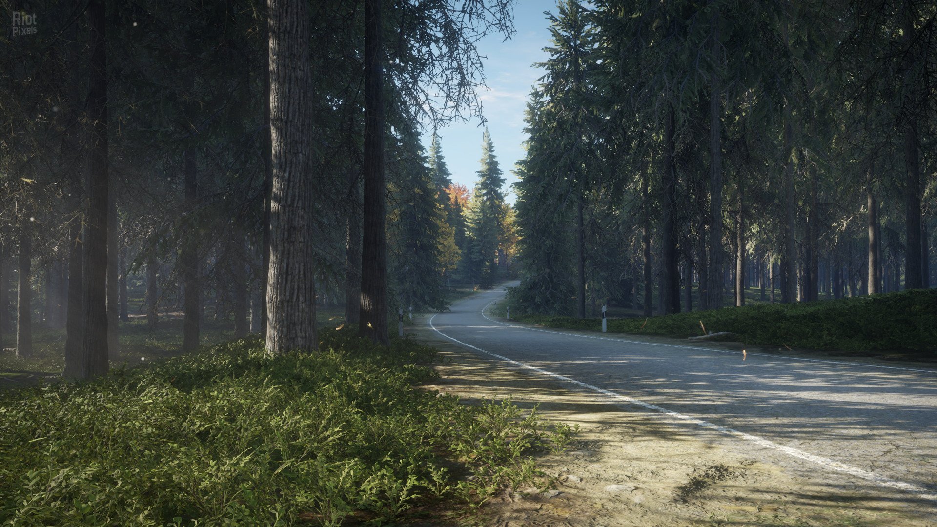 [8]-theHunter: Call of the Wild – Complete Collection – v3263984 (Patch 9.2) + 74 DLCs + Windows 7 Fix Download