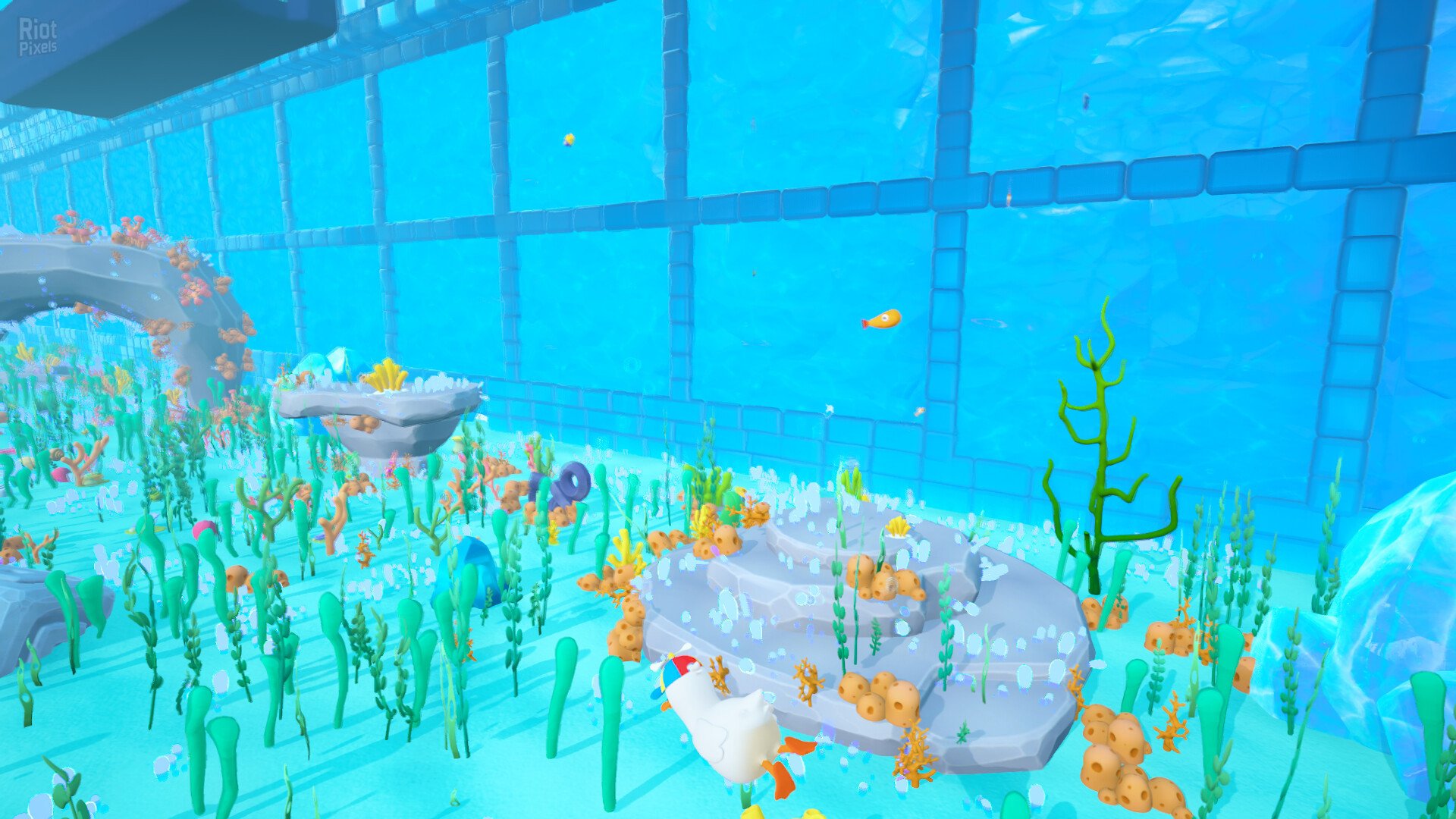 [13]-Dodo Duckie Download