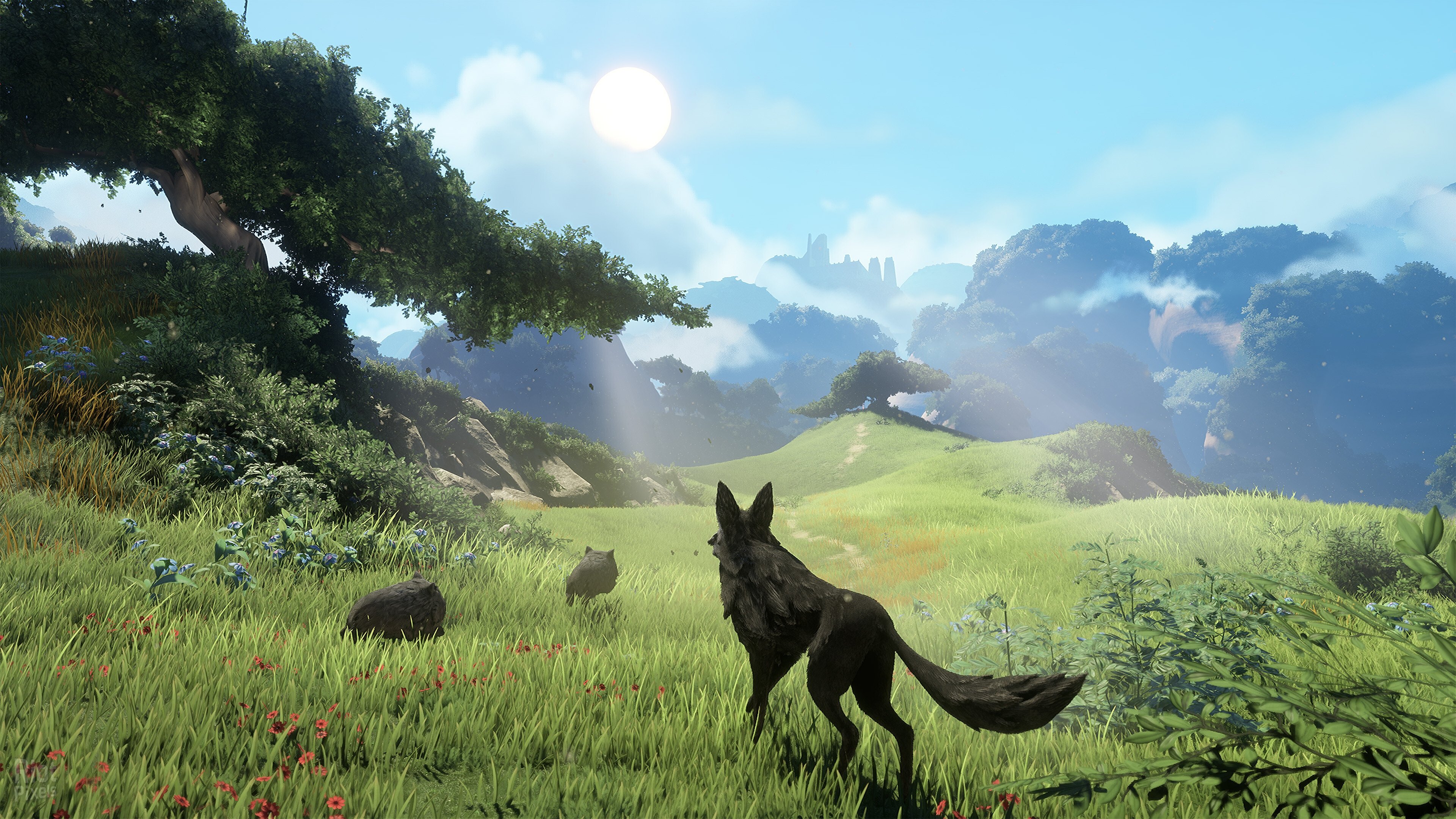 [3]-LOST EMBER: Rekindled Edition – v1.1.11 + Legendary Souls DLC Download