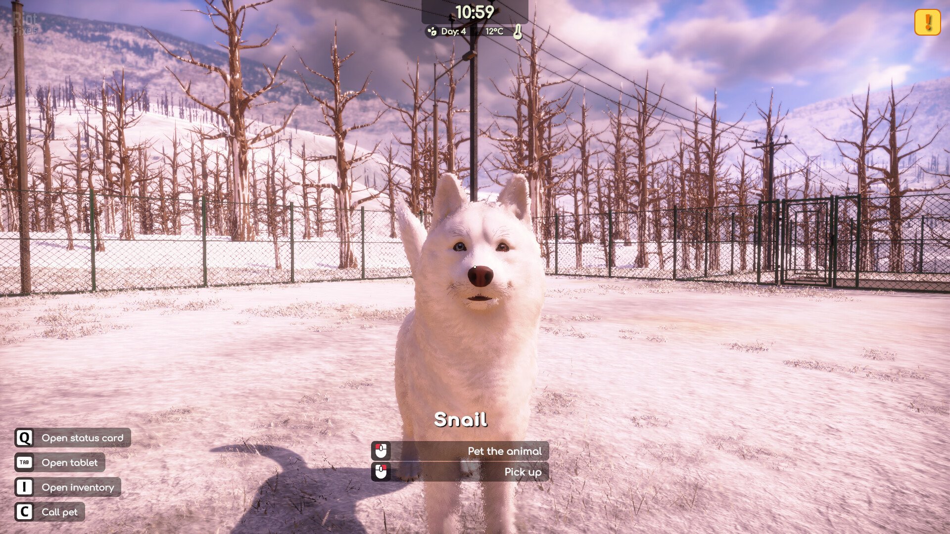 [10]-Animal Shelter 2 – v1.4.2 + 5 DLCs Download