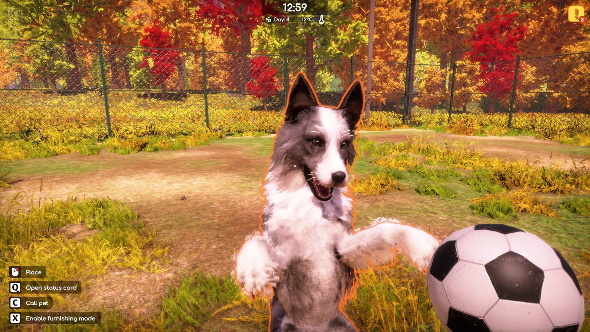 [7]-Animal Shelter 2 – v1.4.2 + 5 DLCs Download