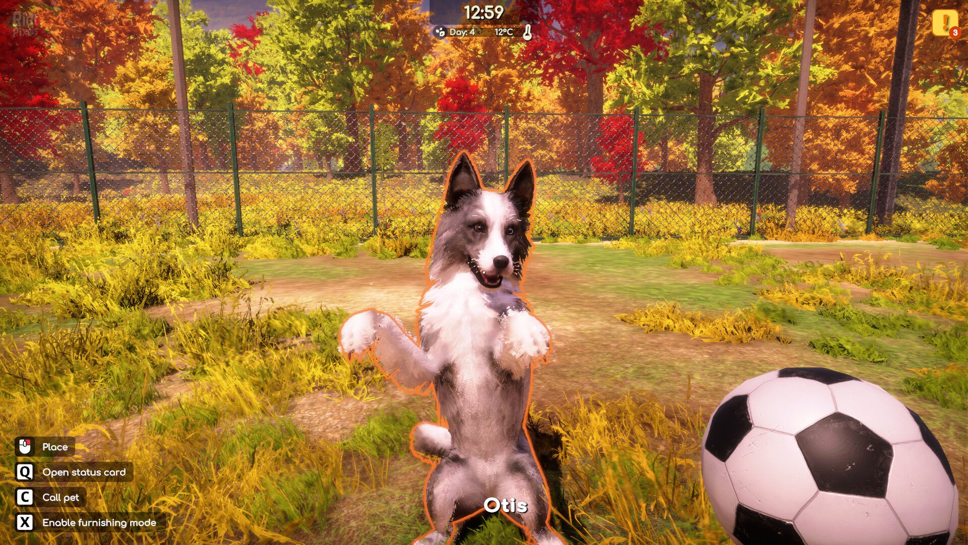 [12]-Animal Shelter 2 – v1.4.2 + 5 DLCs Download