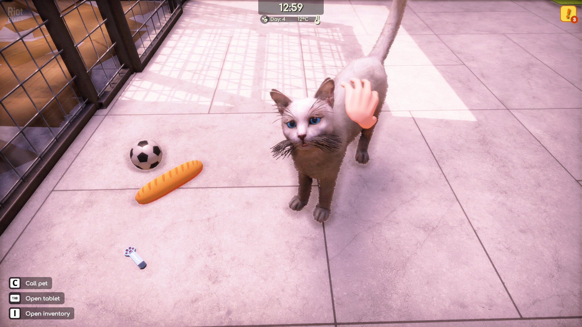 [8]-Animal Shelter 2 – v1.4.2 + 5 DLCs Download