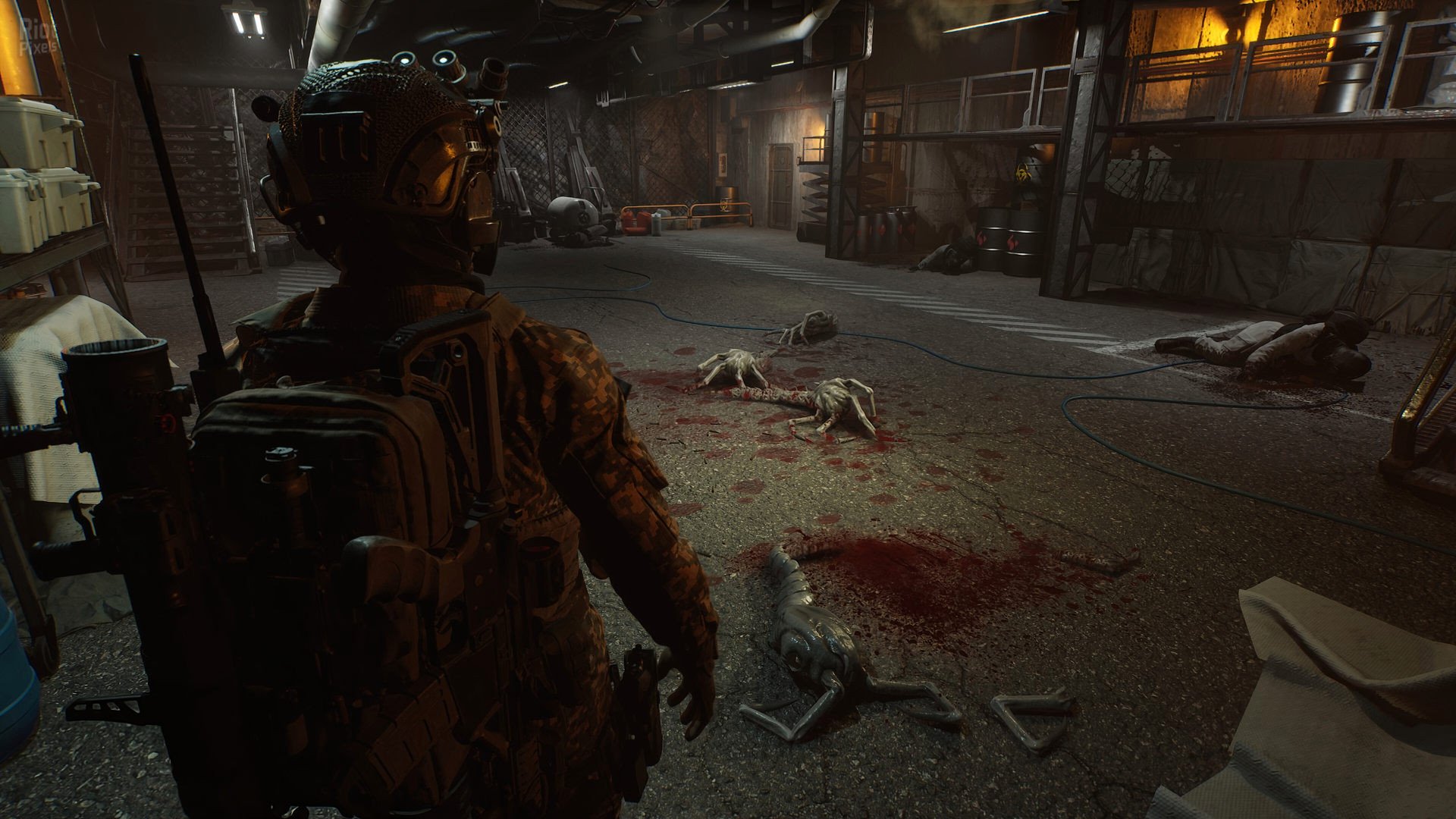 [11]-ENTITY: THE BLACK DAY Download