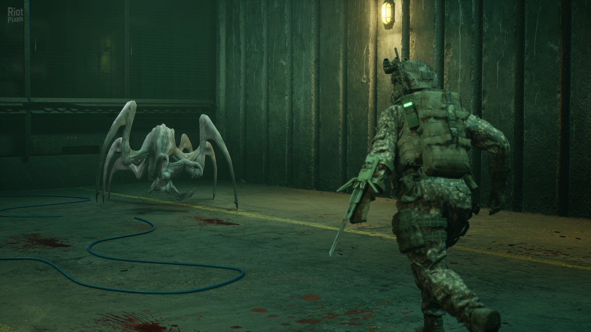 [6]-ENTITY: THE BLACK DAY Download
