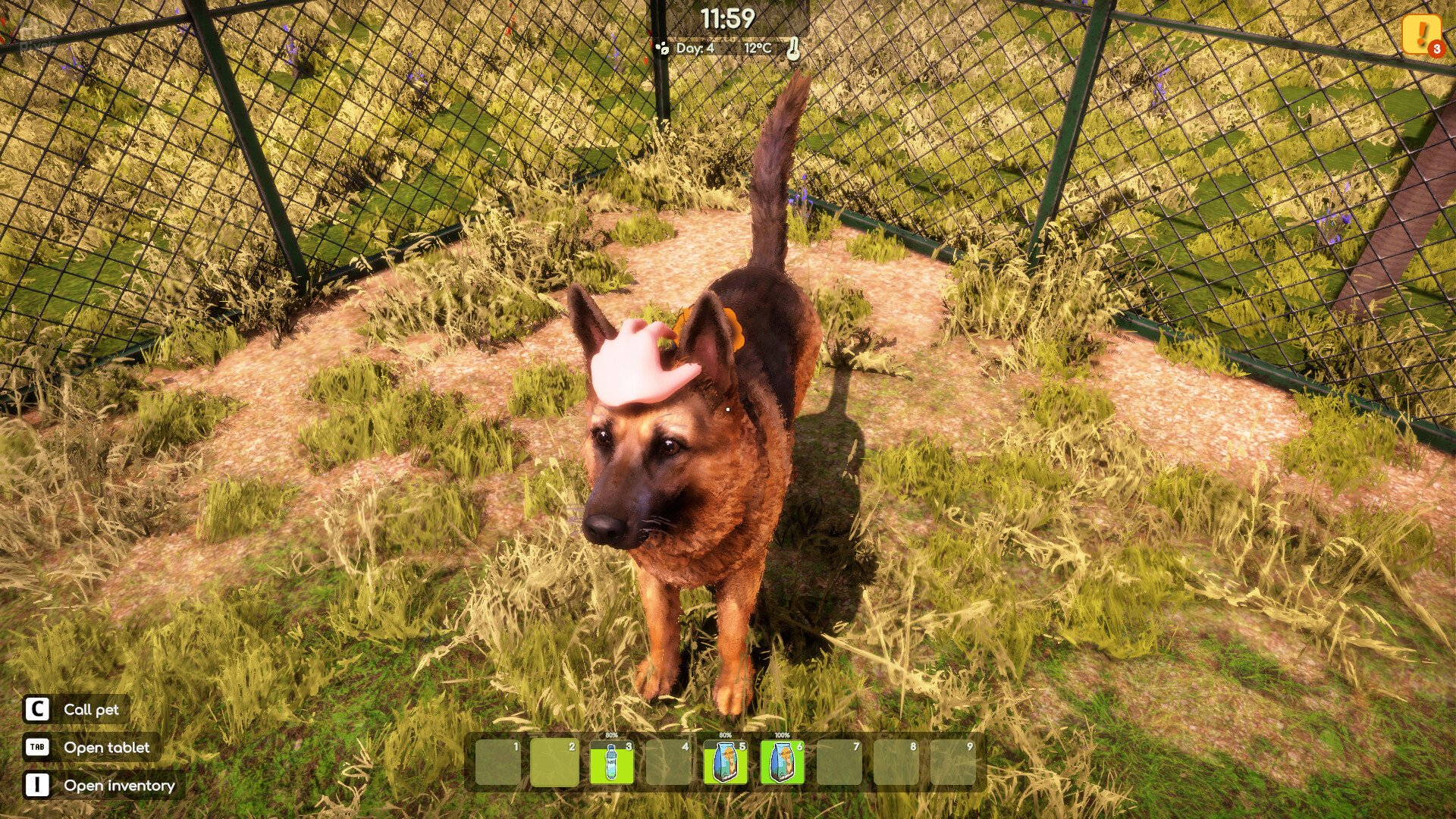 [13]-Animal Shelter 2 – v1.4.2 + 5 DLCs Download