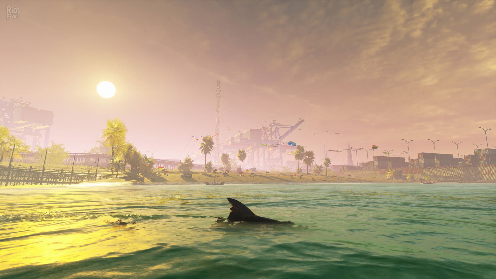 图片[14]-Maneater: Apex Edition, v431513 (DRM-free) + Truth Quest DLC-HohohoGames
