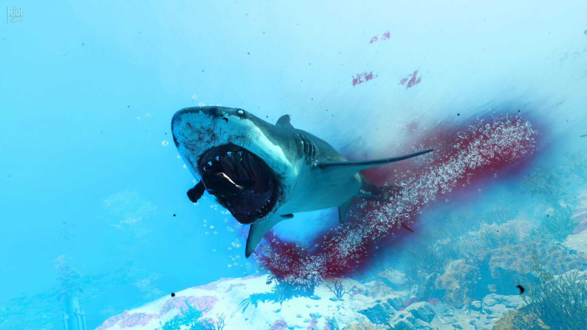 图片[10]-Maneater: Apex Edition, v431513 (DRM-free) + Truth Quest DLC-HohohoGames